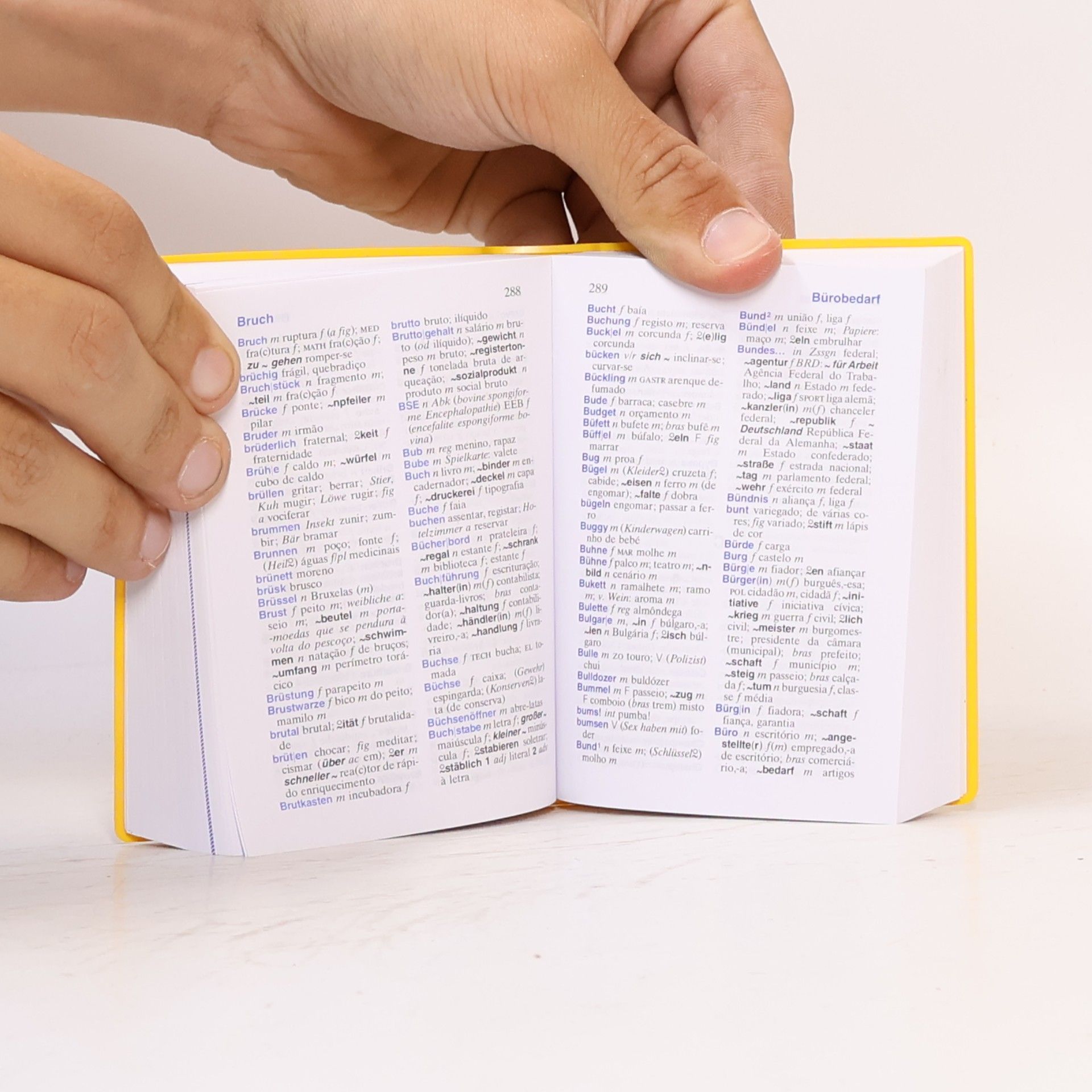 Charlotte Frei Langenscheidt, Universal-Wörterbuch Portugiesisch