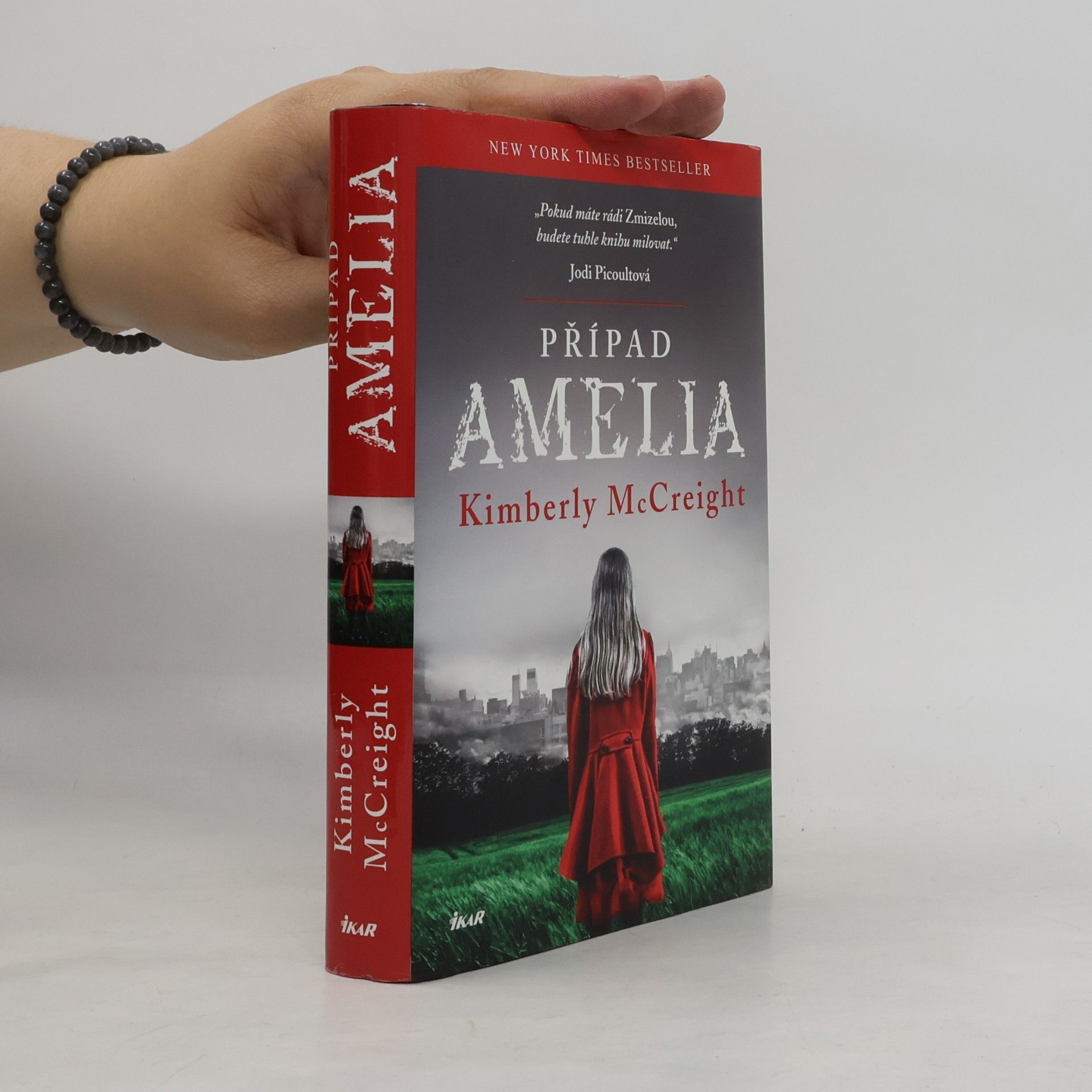 Kimberly McCreight Případ Amelia