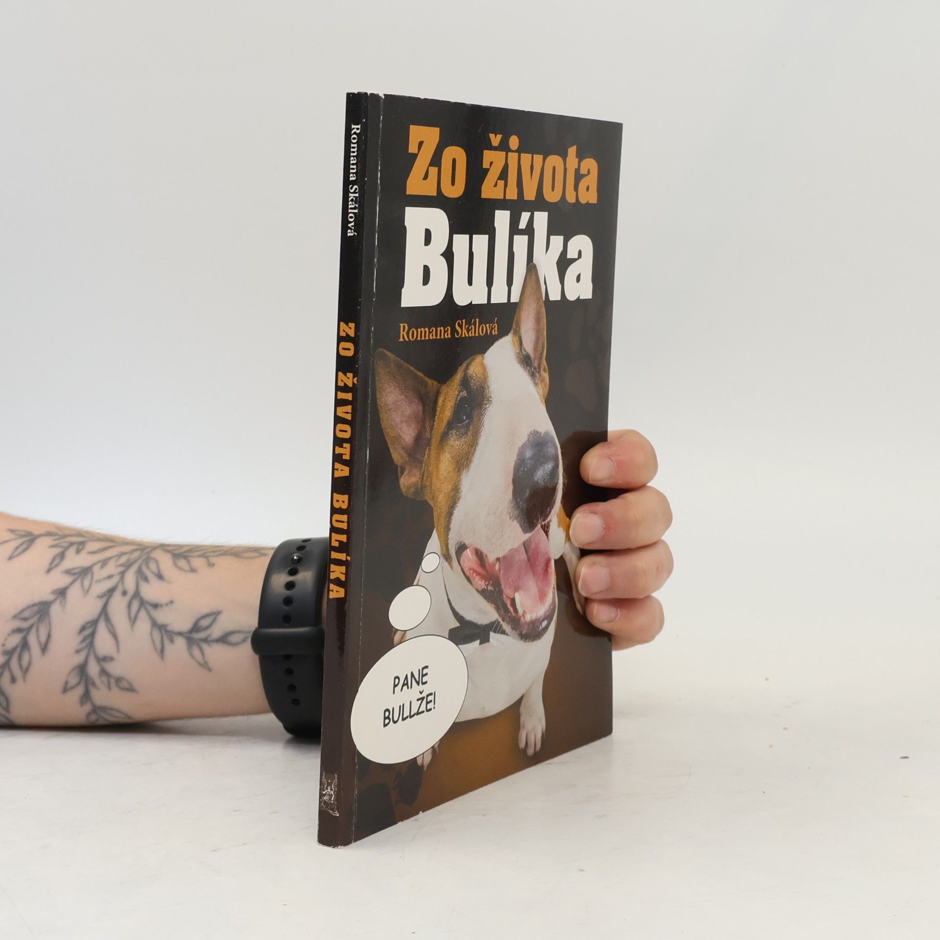 Lívia Havlíková Zo života Bulíka