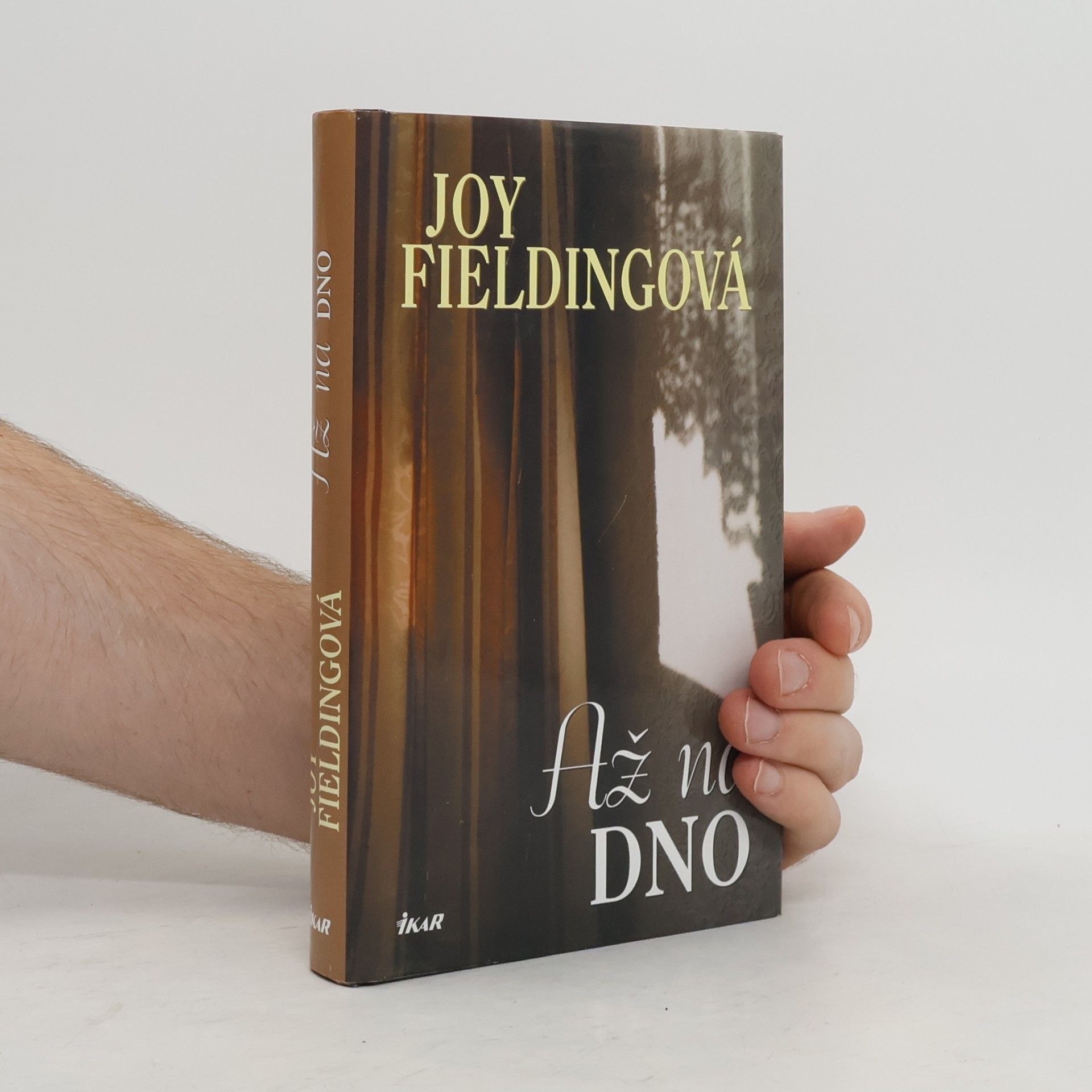 Joy Fielding Až na dno