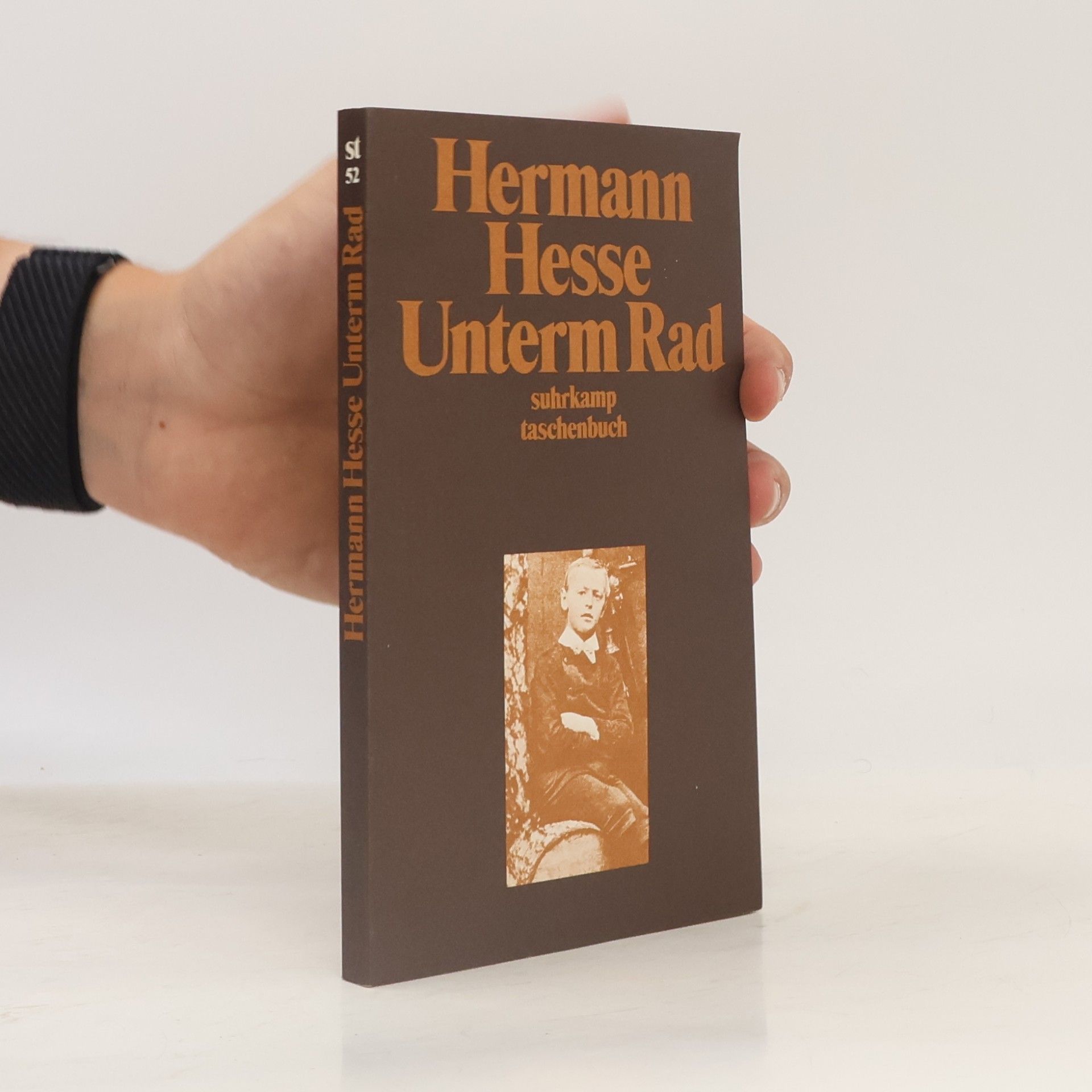 Hermann Hesse Unterm Rad