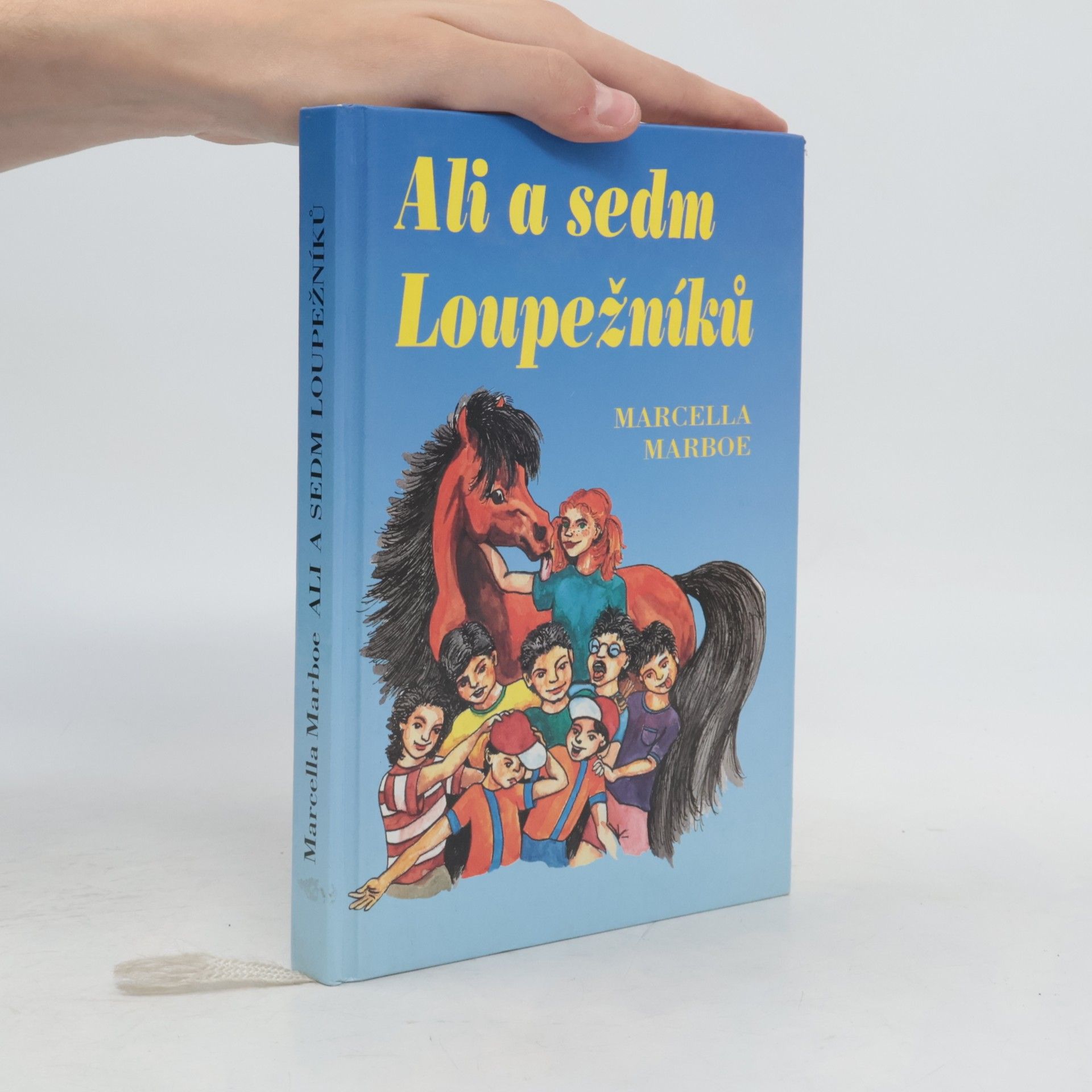Marcella Marboe Ali a sedm loupežníků