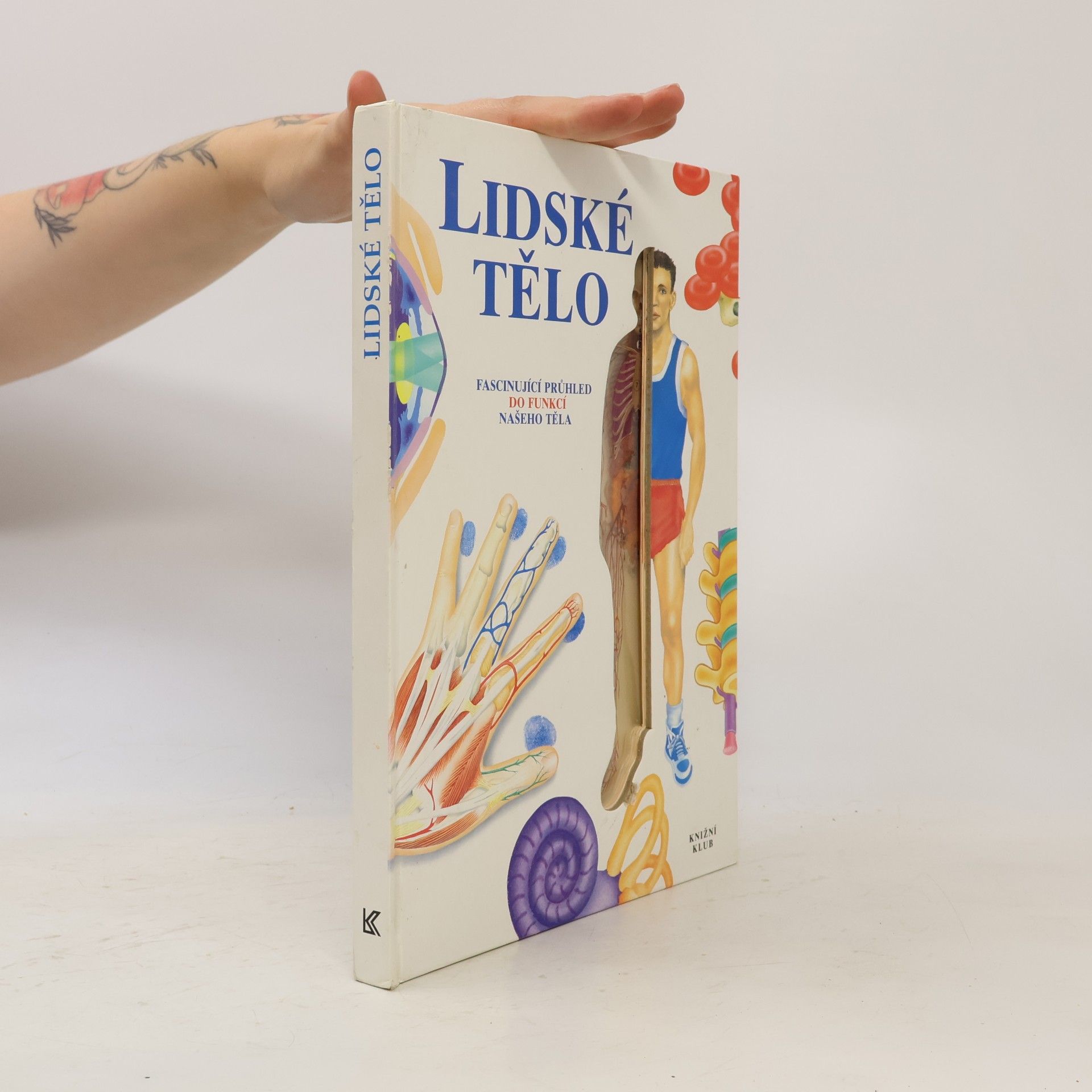 Autorenkollektiv Lidské tělo: Fascinující průhled do funkcí našeho těla