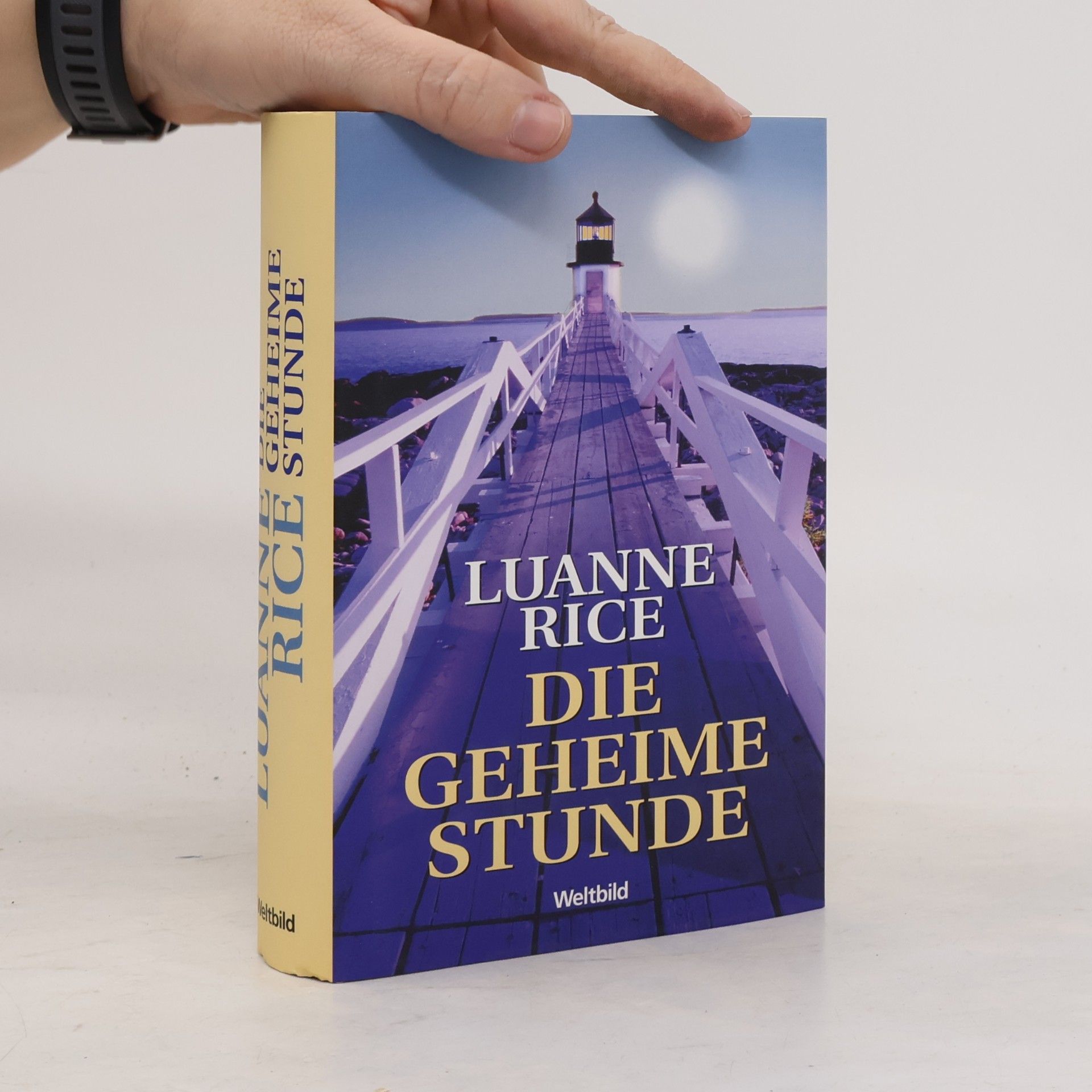 Luanne Rice Die geheime Stunde