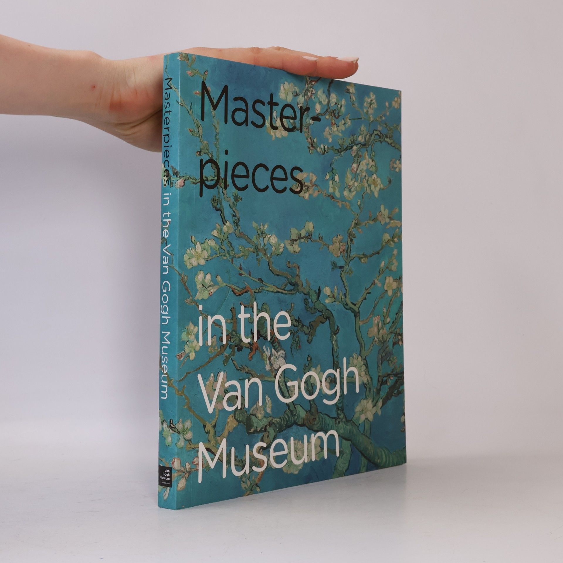 Autorenkollektiv Master pieces in the Van Gogh Museum