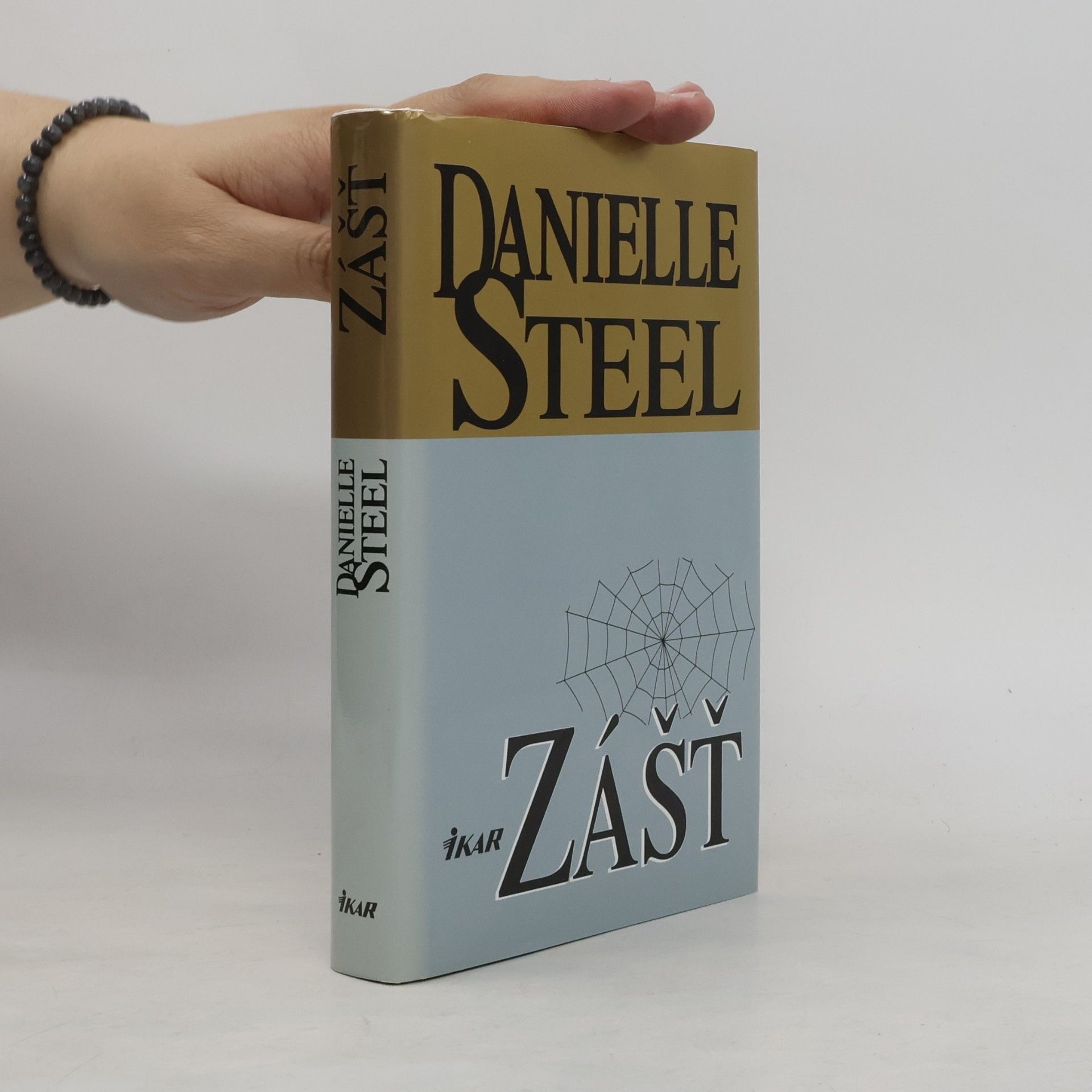Danielle Steelová Zášť