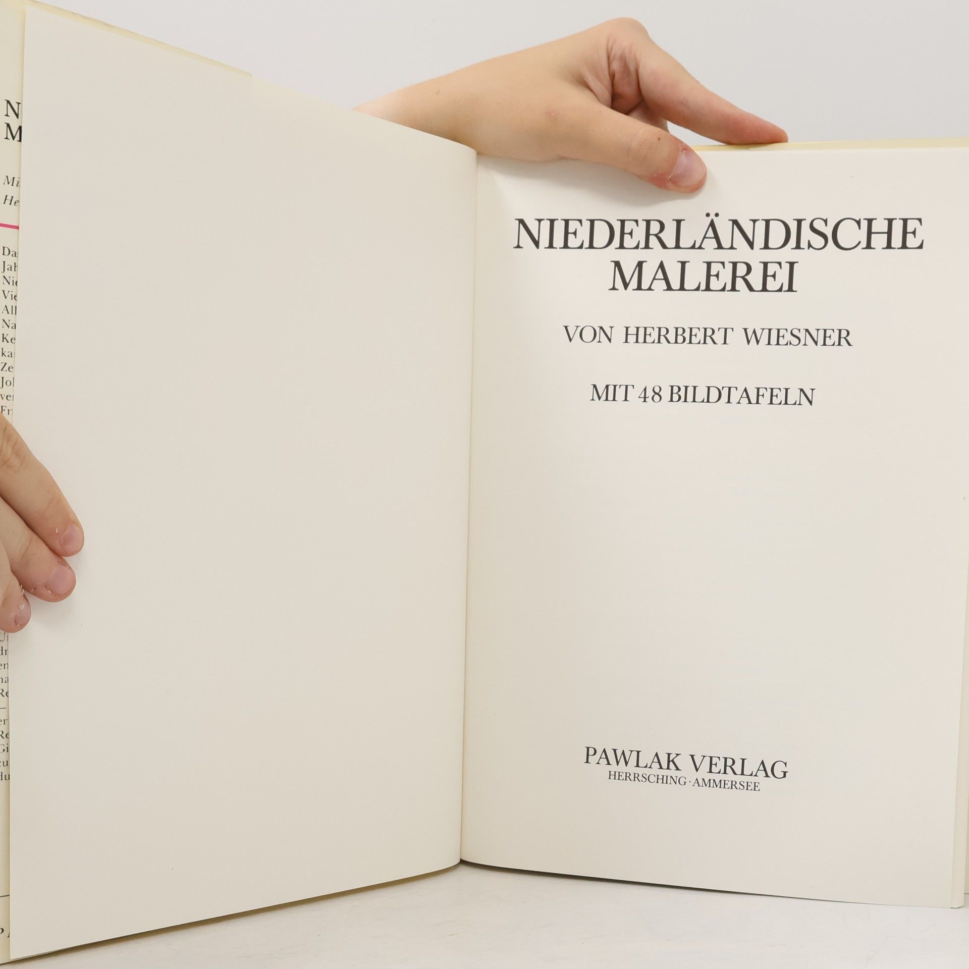 Autorenkollektiv Niederländische Malerei. Mit 48 Bildtafeln