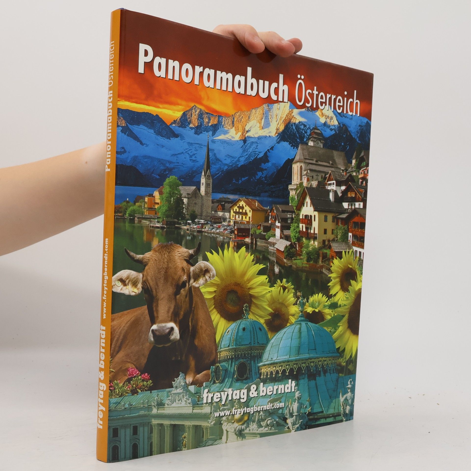 Panoramabuch Österreich