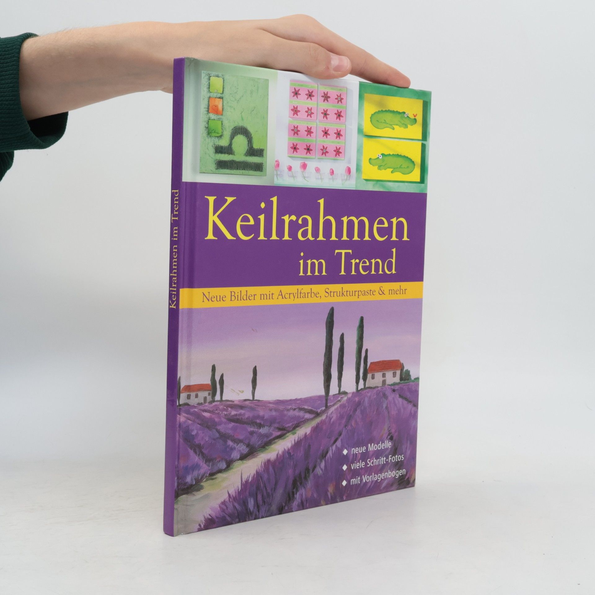 Claudia Guther Keilrahmen im Trend