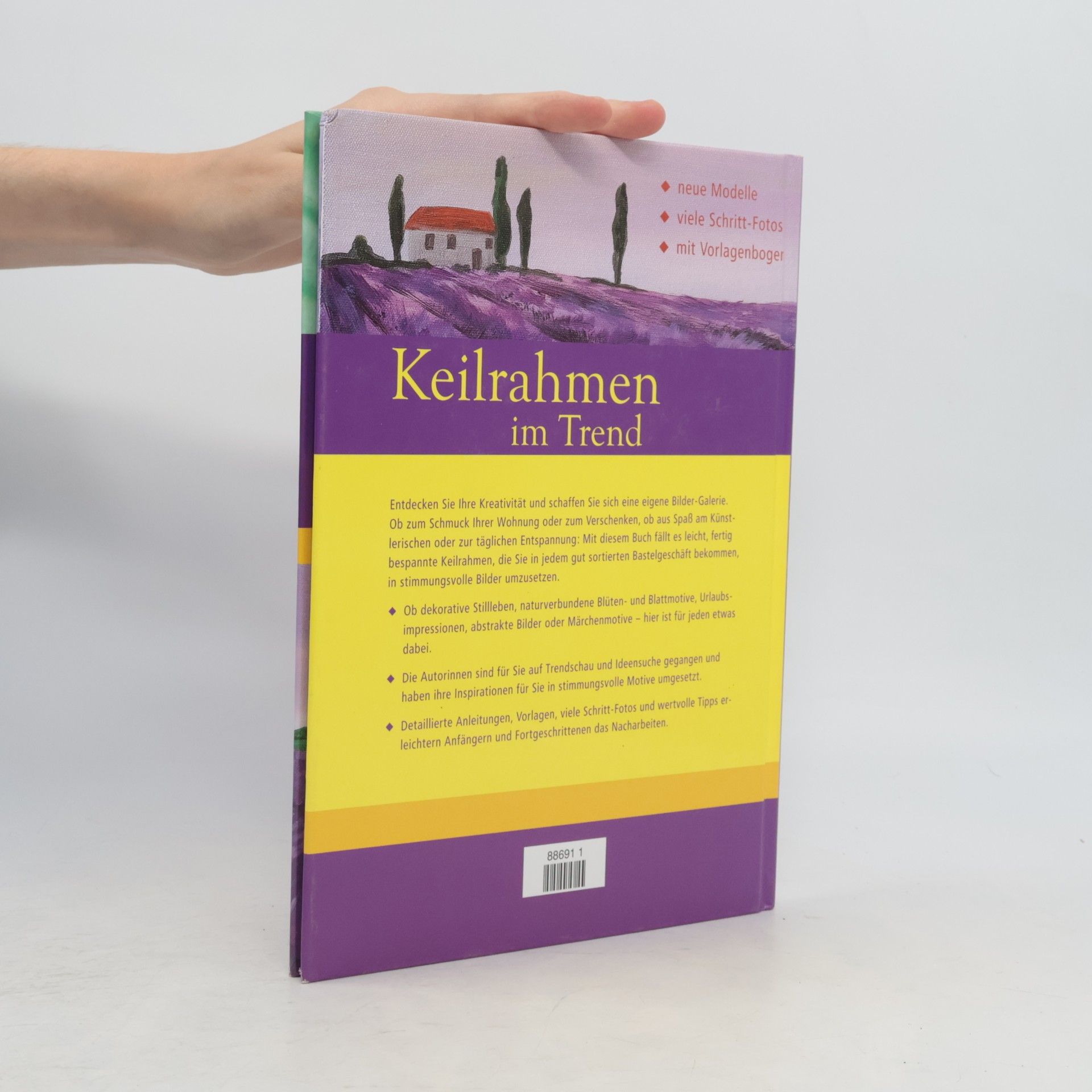 Claudia Guther Keilrahmen im Trend
