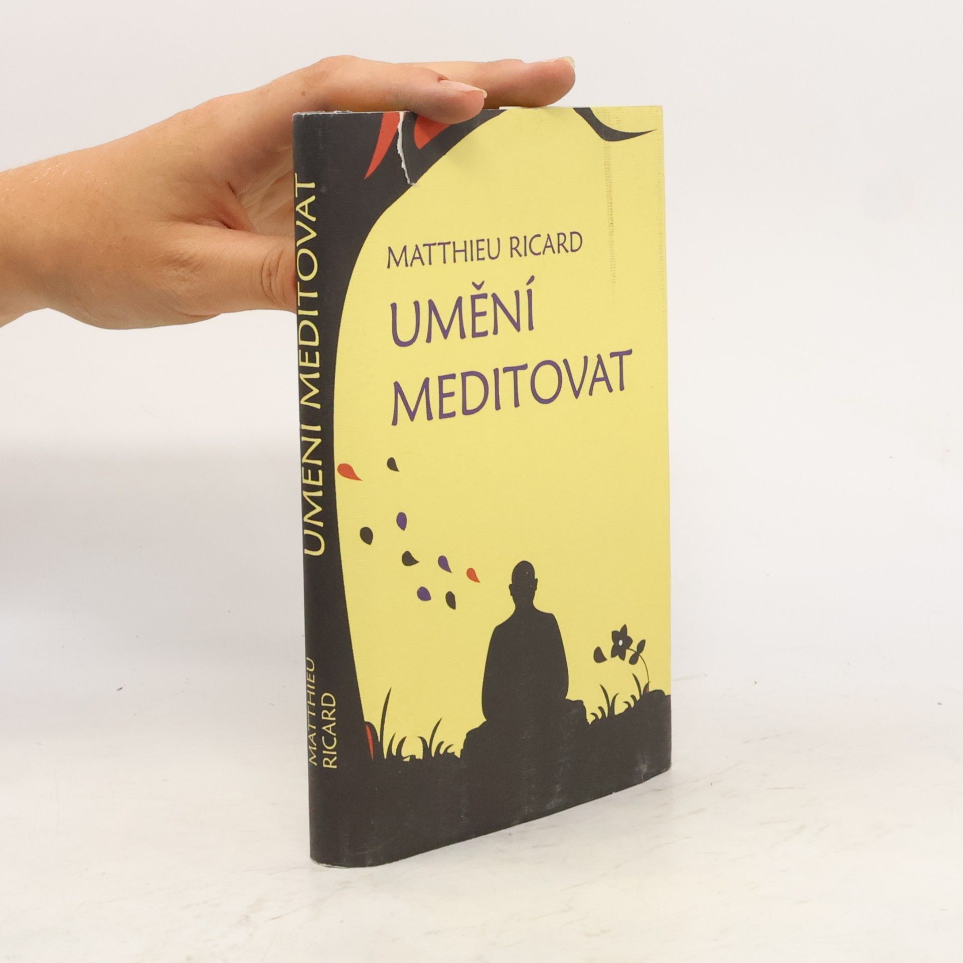 Matthieu Ricard Umění meditovat
