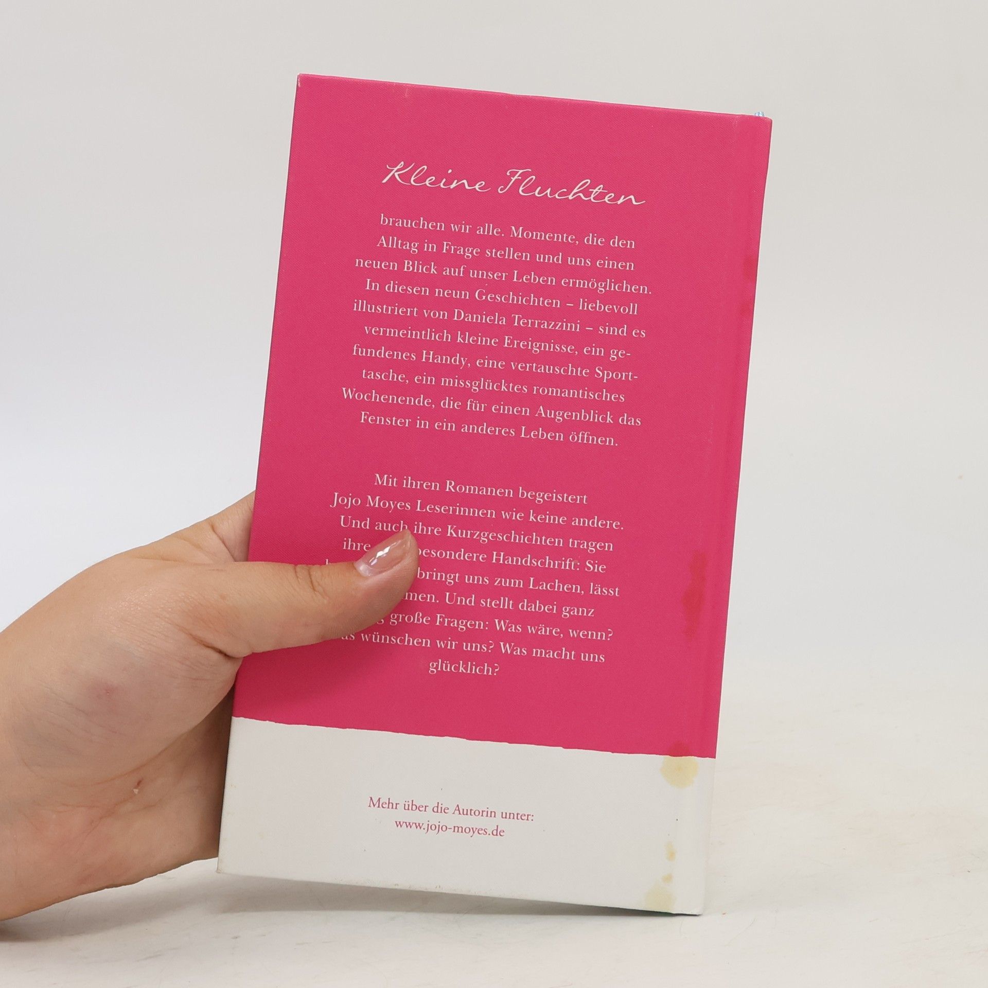 Jojo Moyes Kleine Fluchten