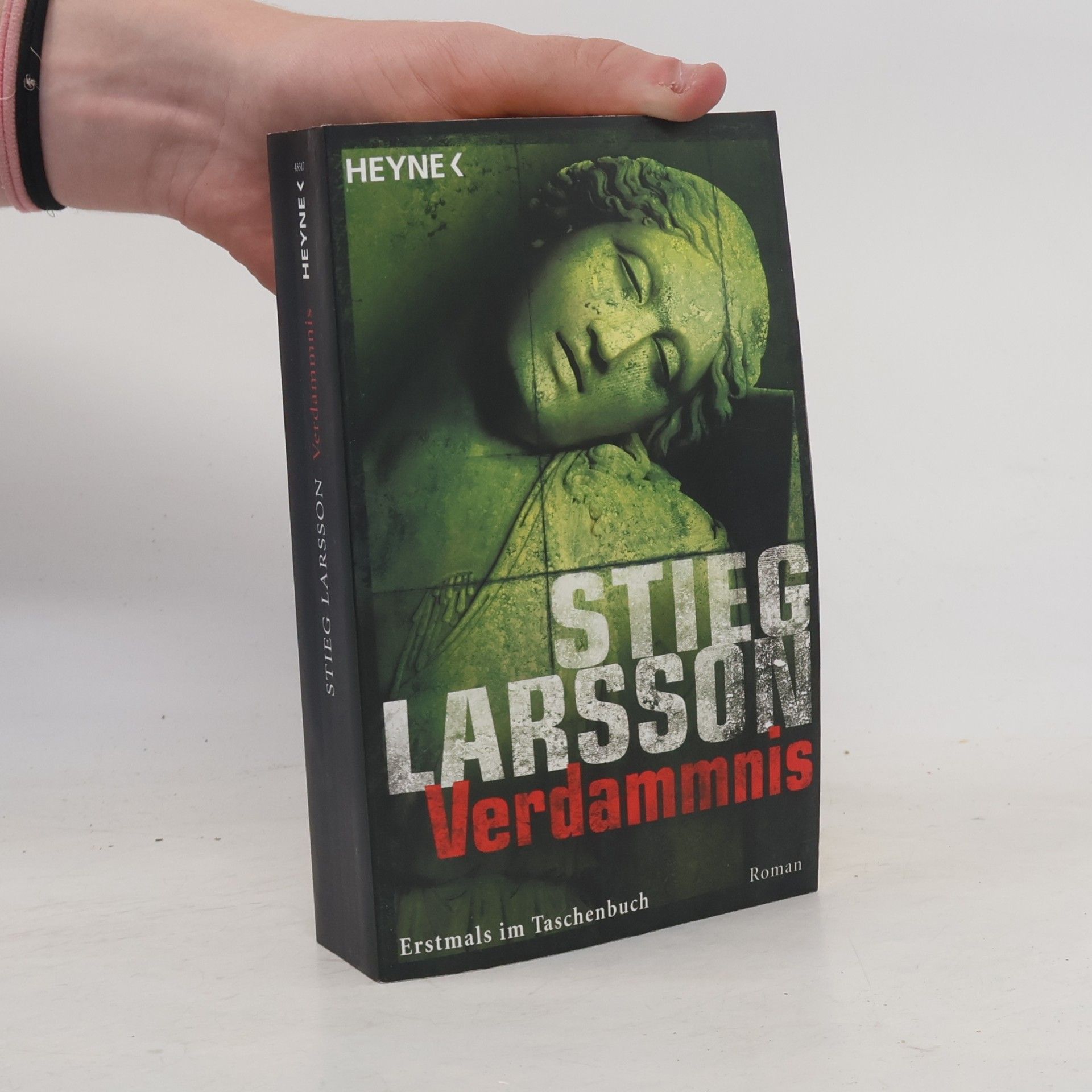 Stieg Larsson Verblendung