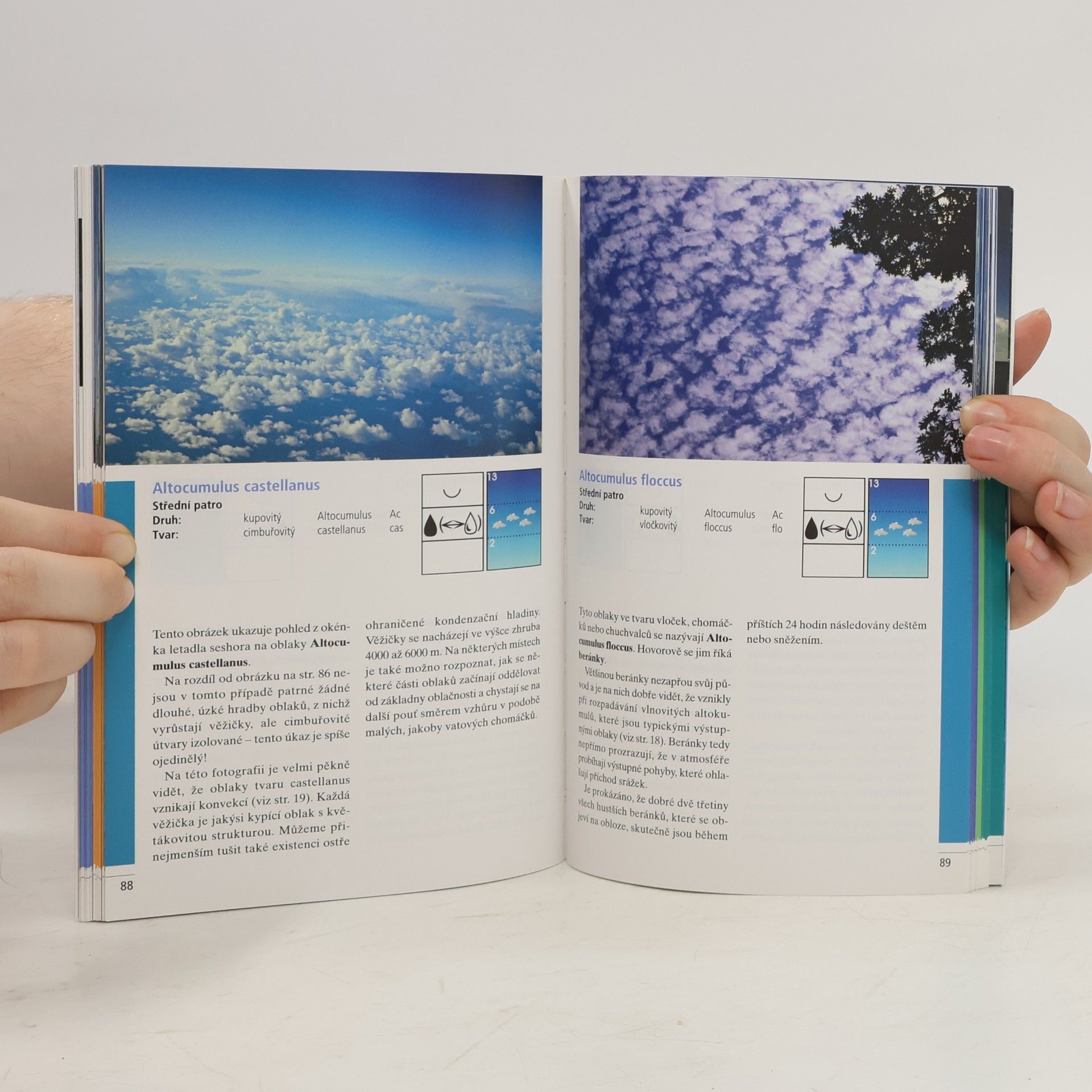 Hans Häckel Atlas oblaků