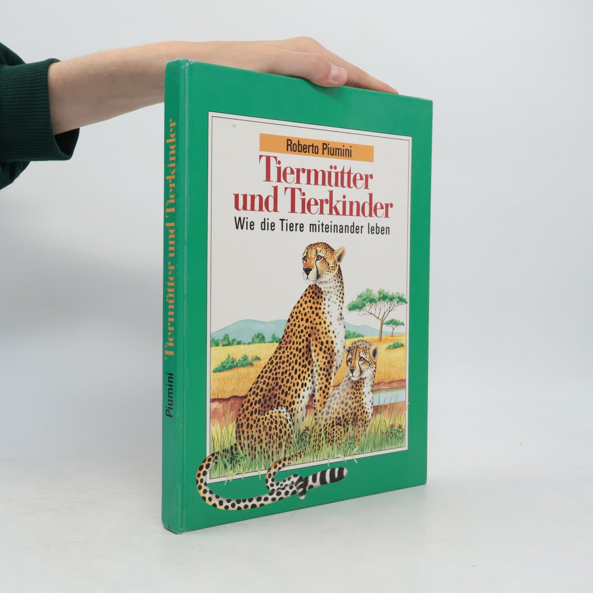 Tiermütter und Tierkinder
