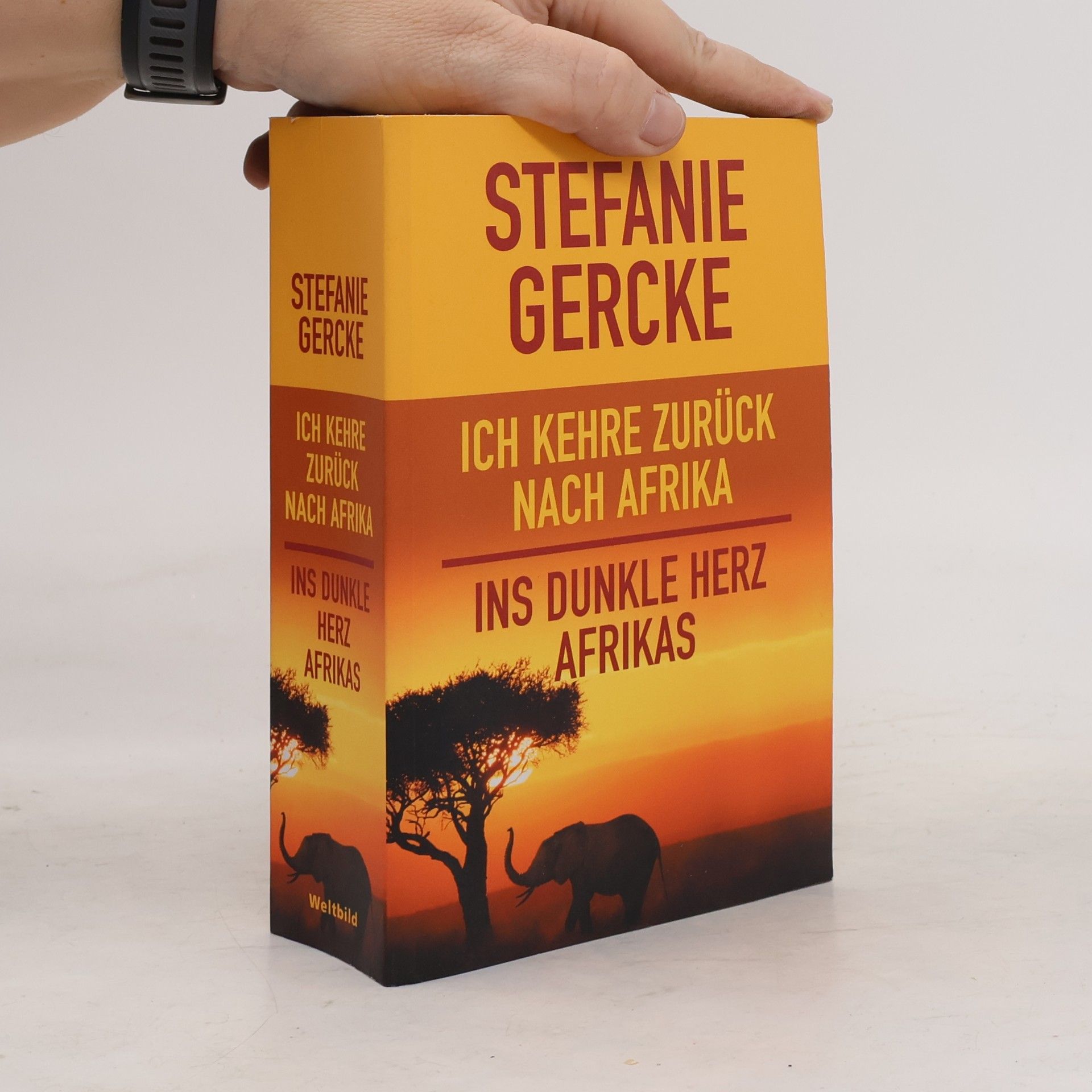 Stefanie Gercke Ich kehre zurück nach Afrika