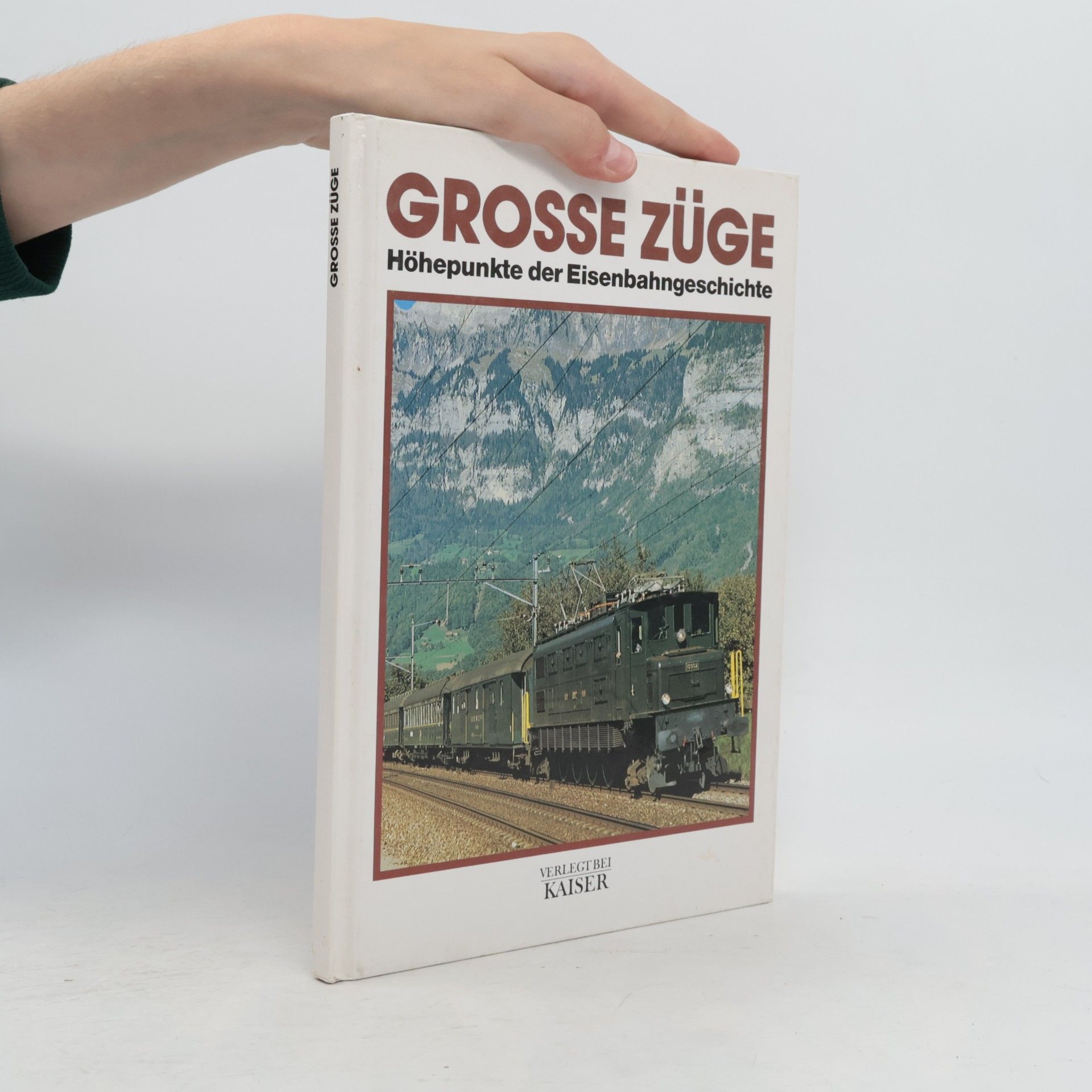 Rolf L. Temming Grosse Züge