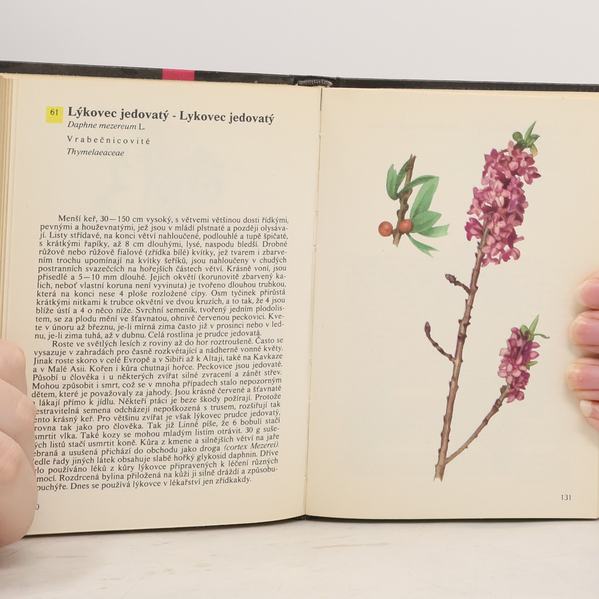 Albert Pilát Kapesní atlas rostlin