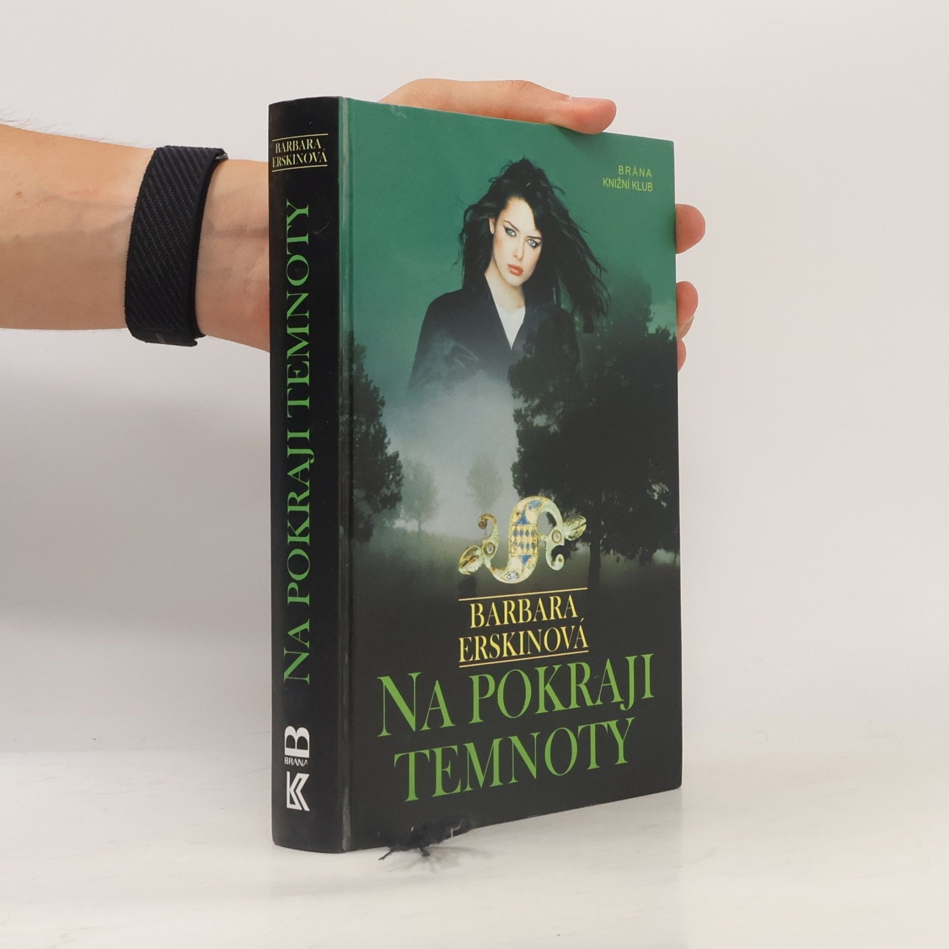 Barbara Erskine Na pokraji temnoty