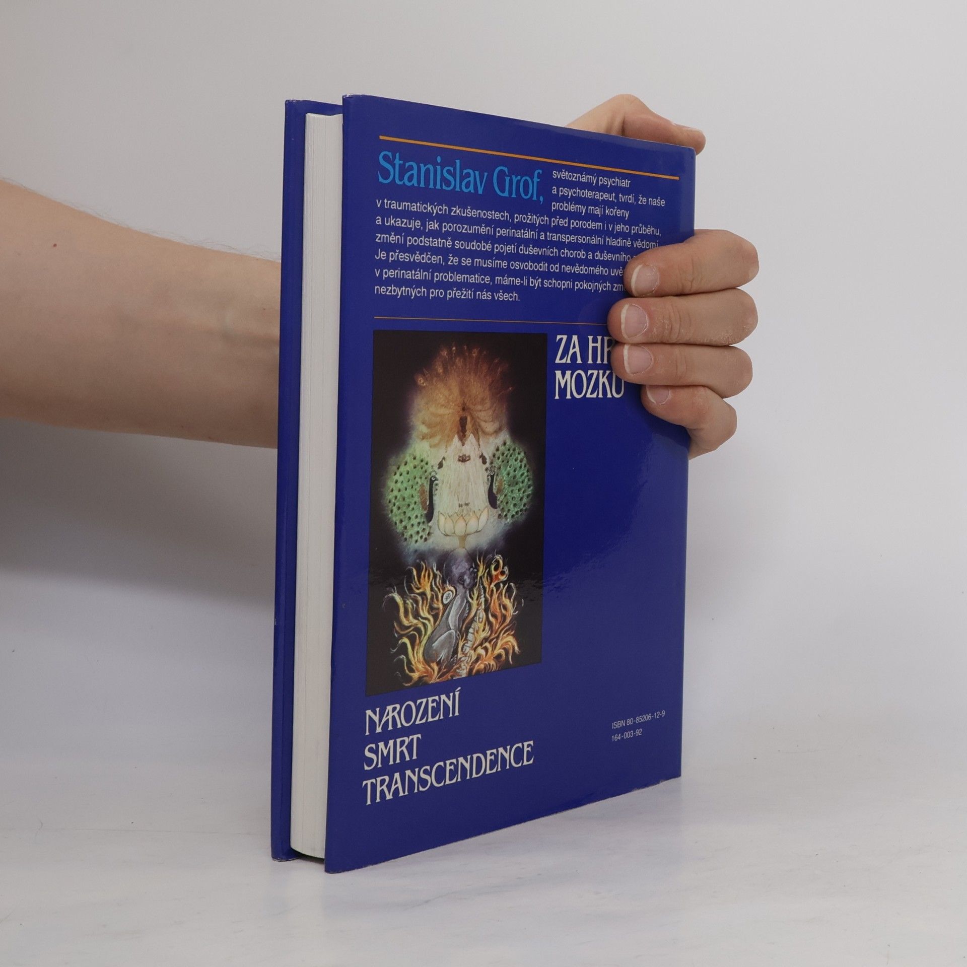 Stanislav Grof Za hranice mozku. Narození, smrt, transcendence