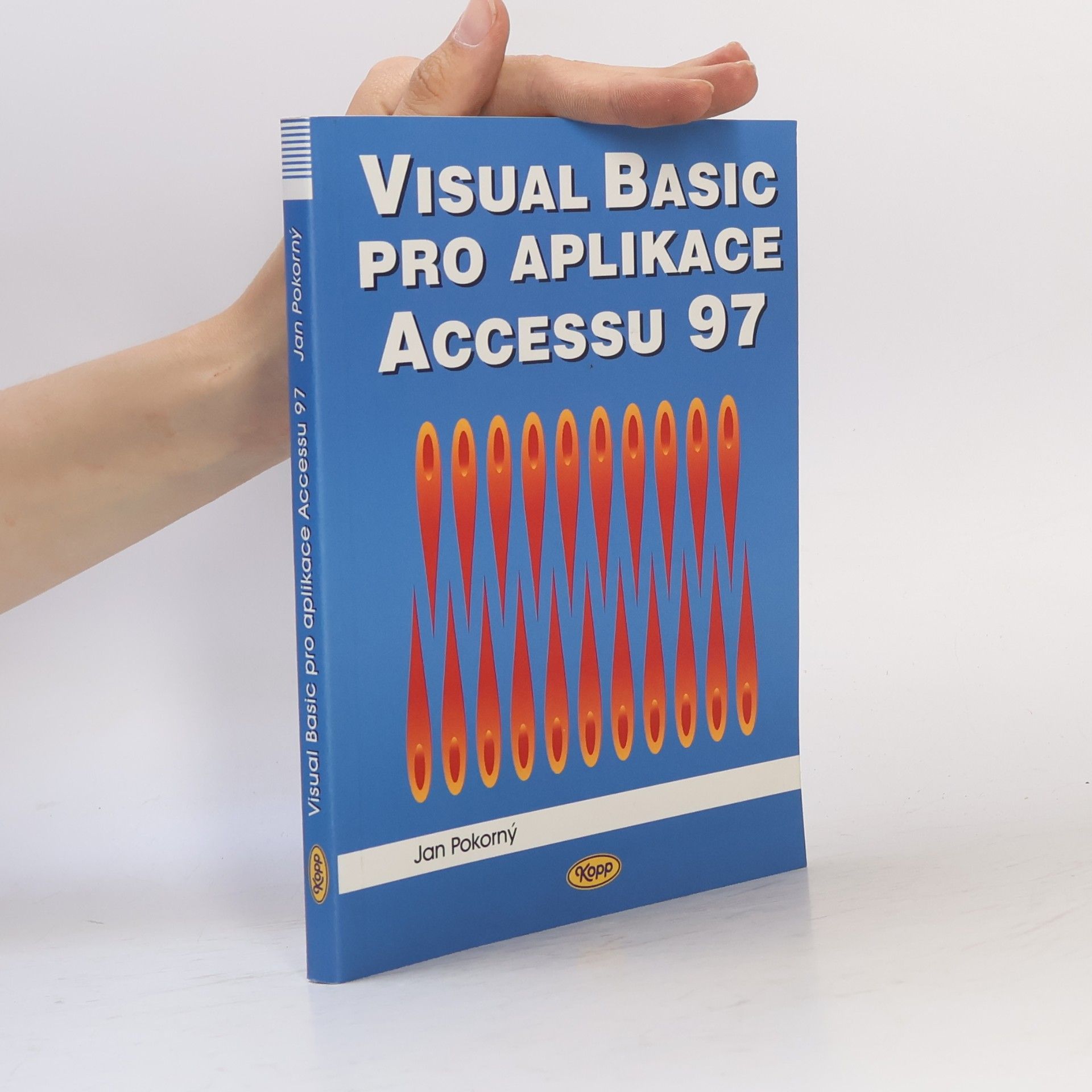 Visual Basic pro aplikace Accessu 97