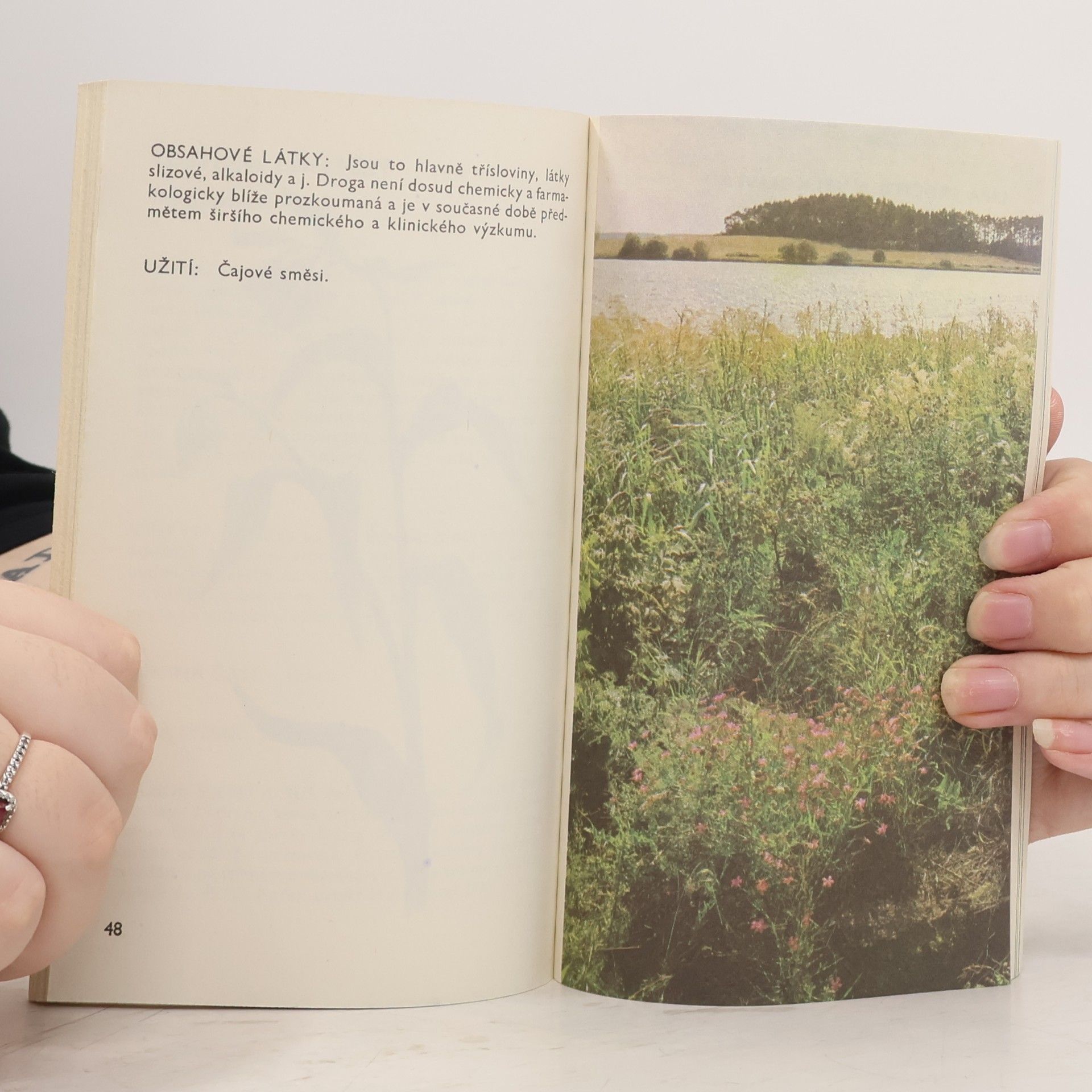 Ludmila Černá Malý herbář léčivých rostlin