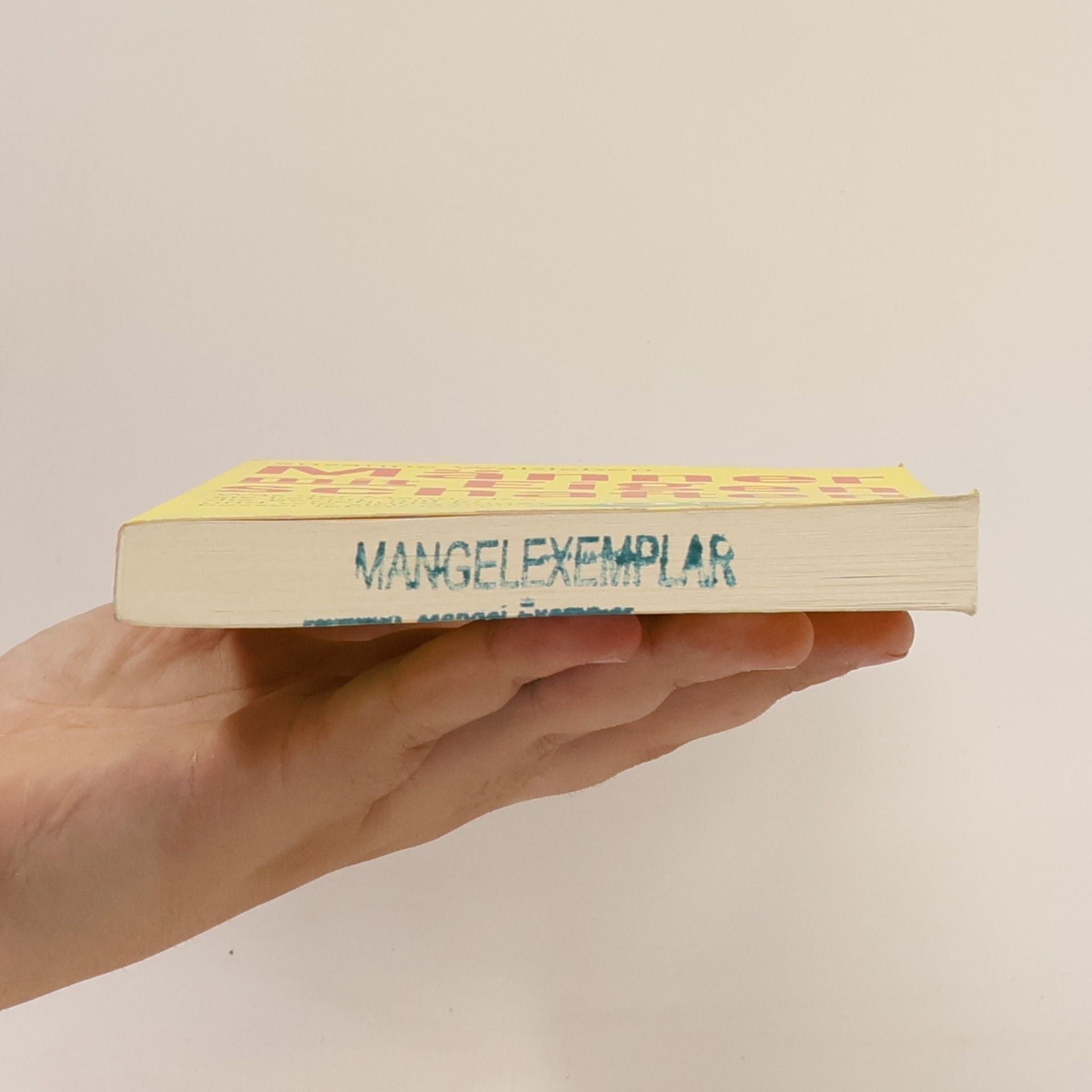Susanne Walsleben Männer mit Eigenschaften