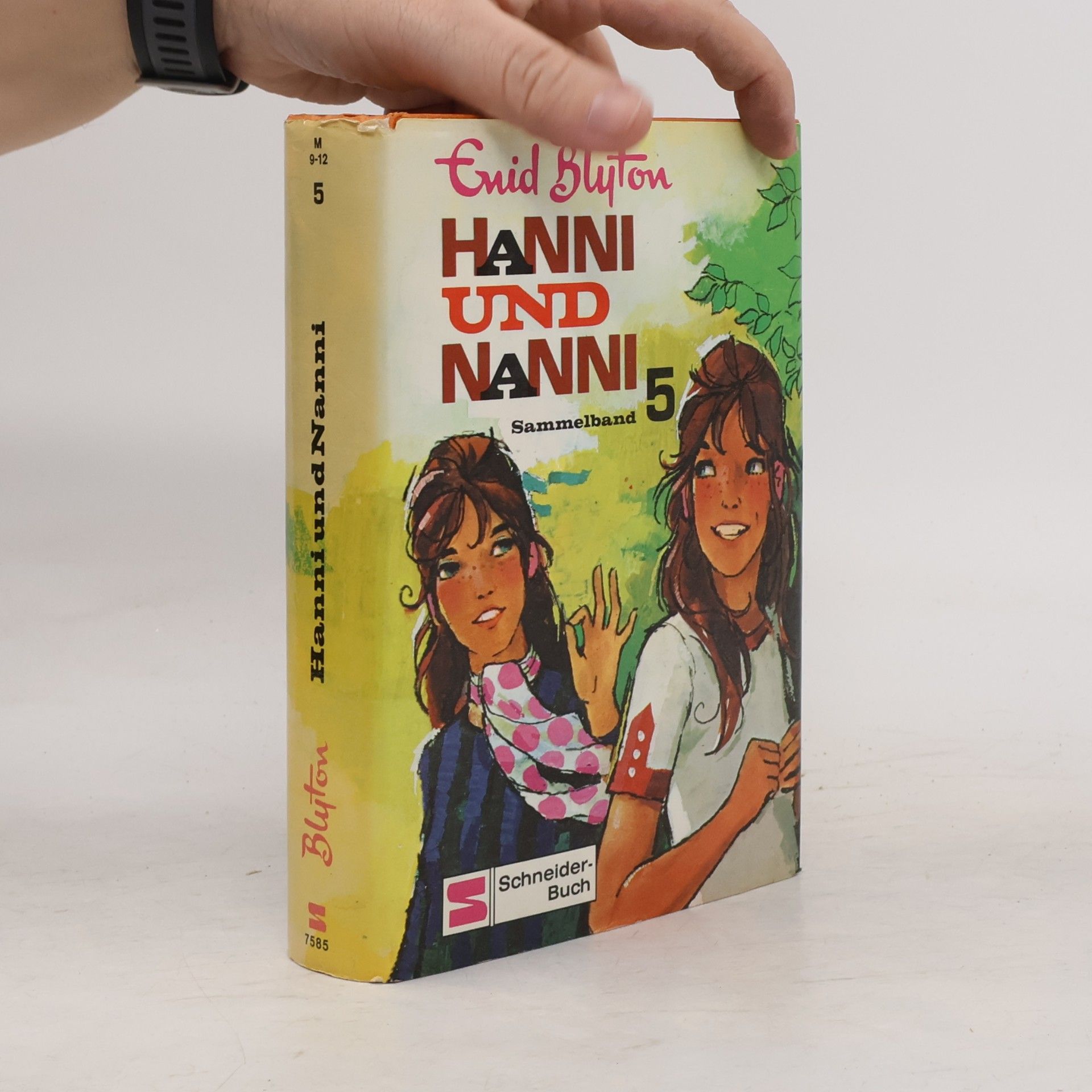 Enid Blyton Hanni und Nanni. Sammelband 5
