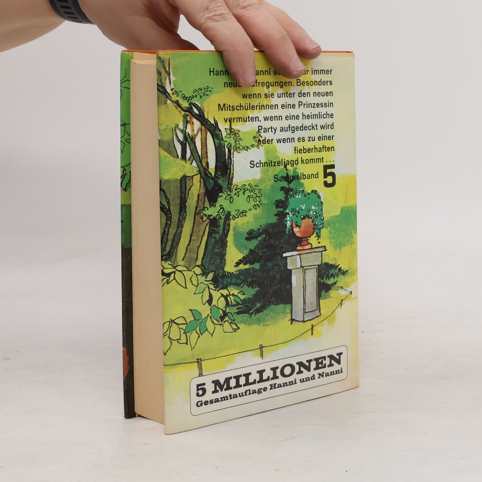 Enid Blyton Hanni und Nanni. Sammelband 5