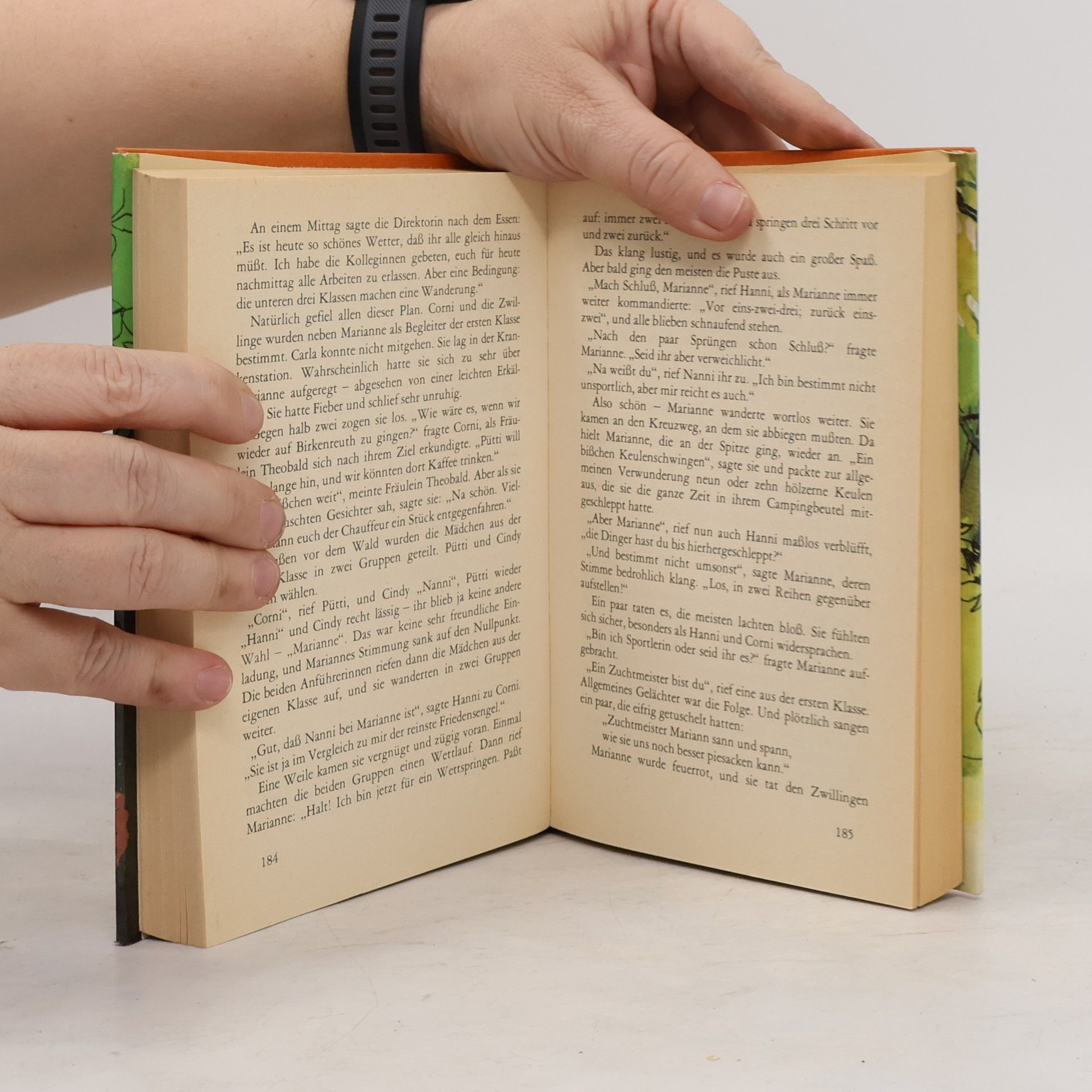 Enid Blyton Hanni und Nanni. Sammelband 5
