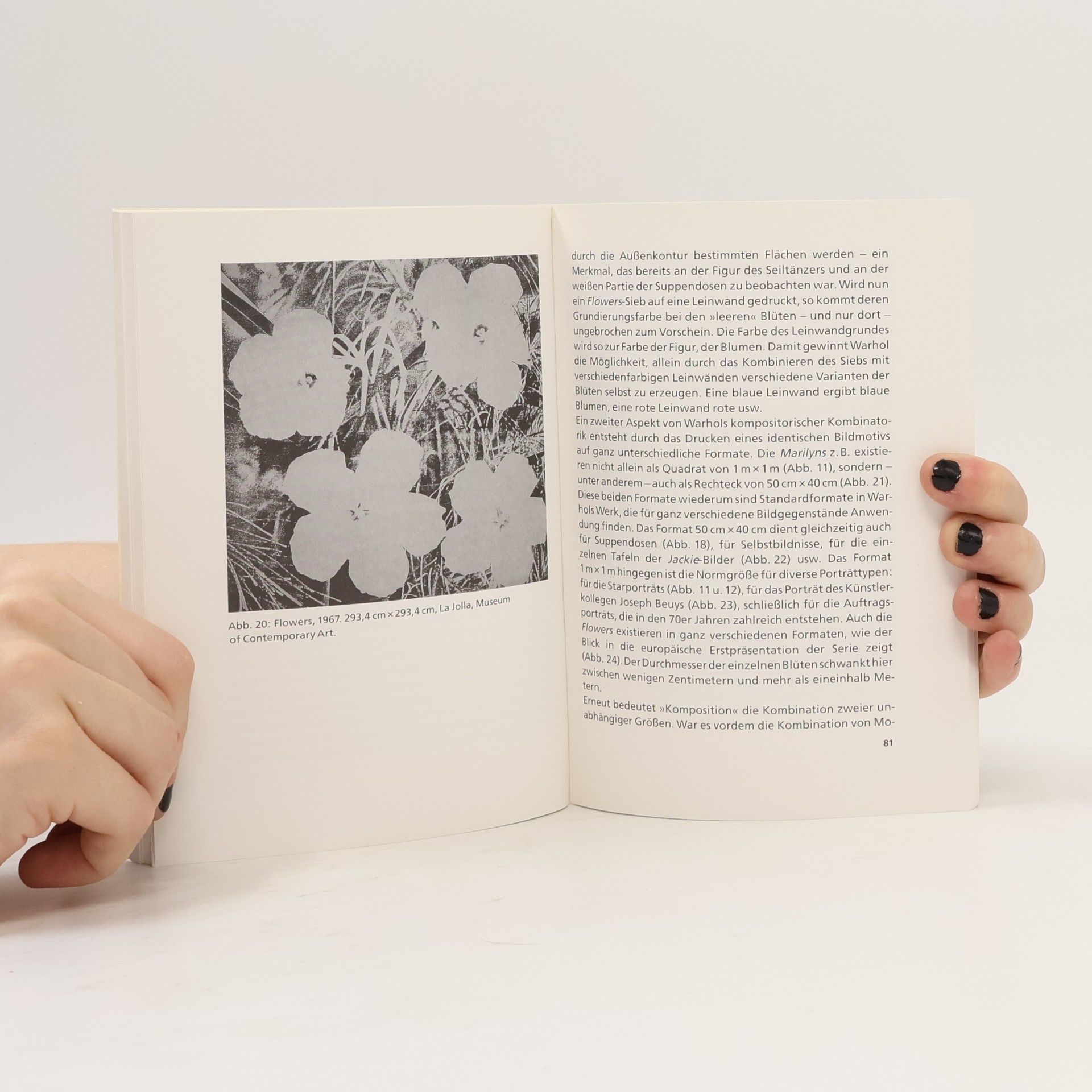 Michael Lüthy Insel Taschenbuch: Andy Warhol, Thirty Are Better Than One