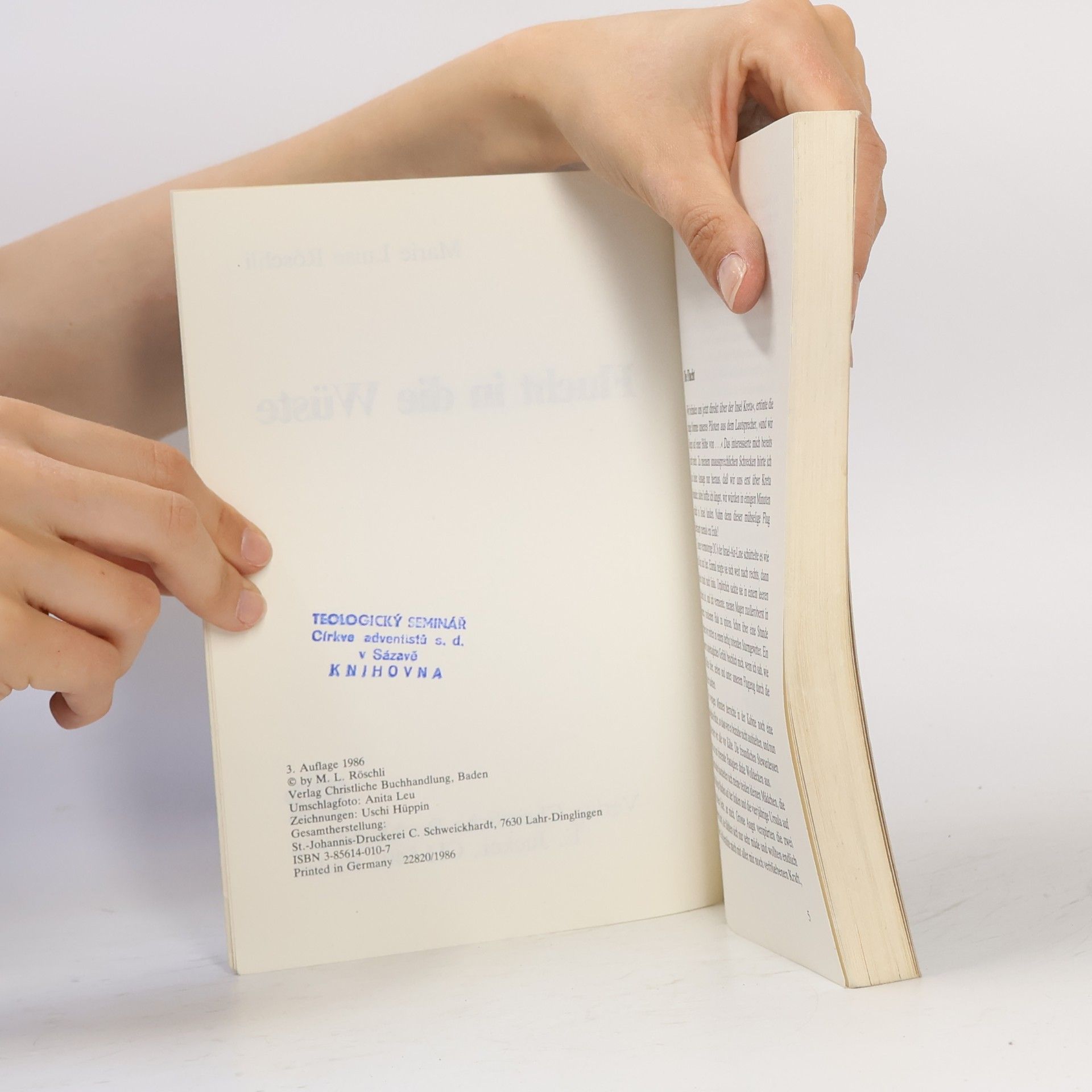 Marie Luise Röschli Flucht in die Wüste