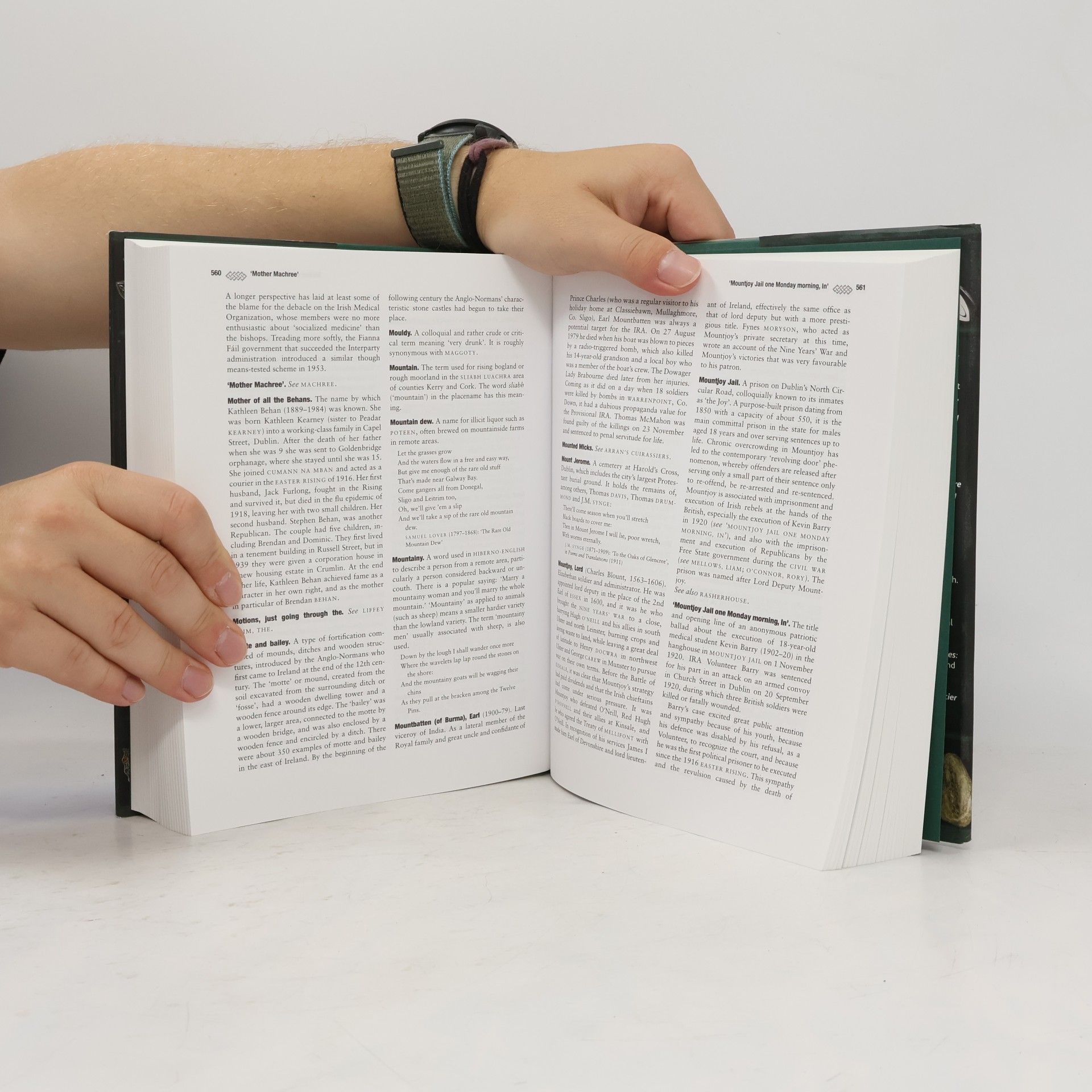 Seán McMahon Brewer's Dictionary of Irish Phrase & Fable
