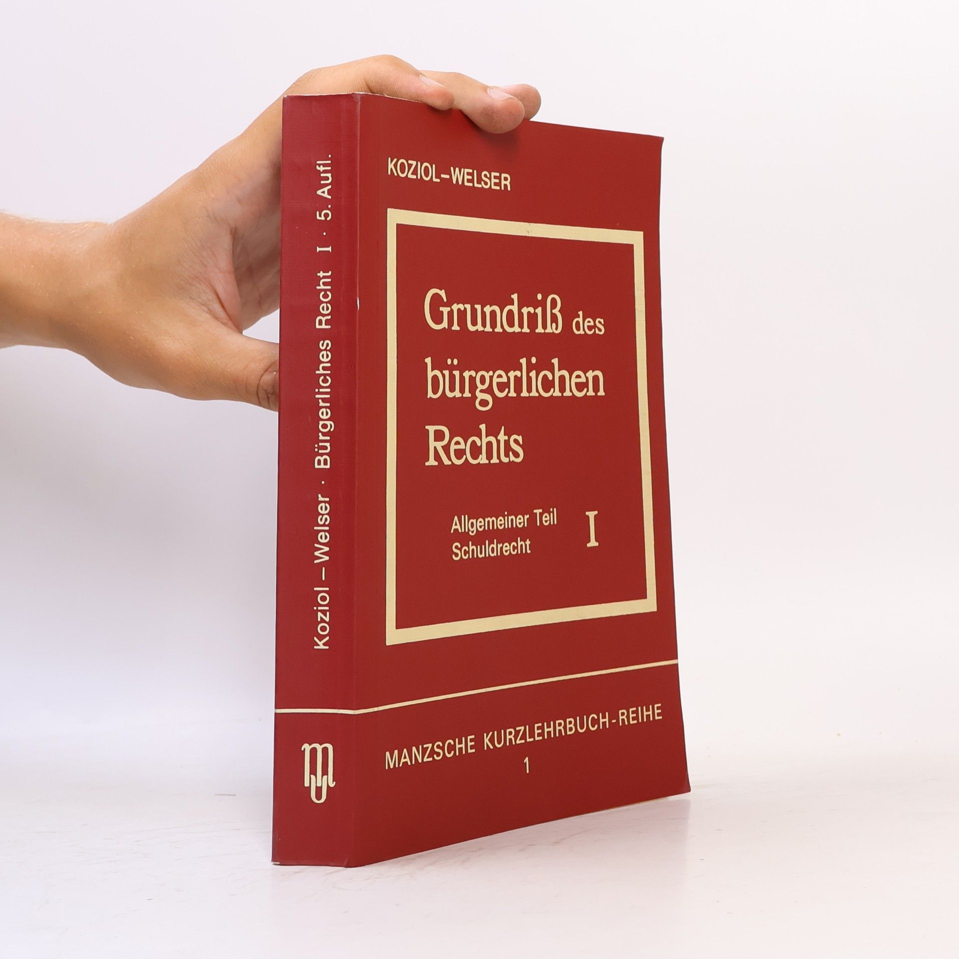 Manzsche Kurzlehrbuch-Reihe - 1: Grundriss des bürgerlichen Rechts