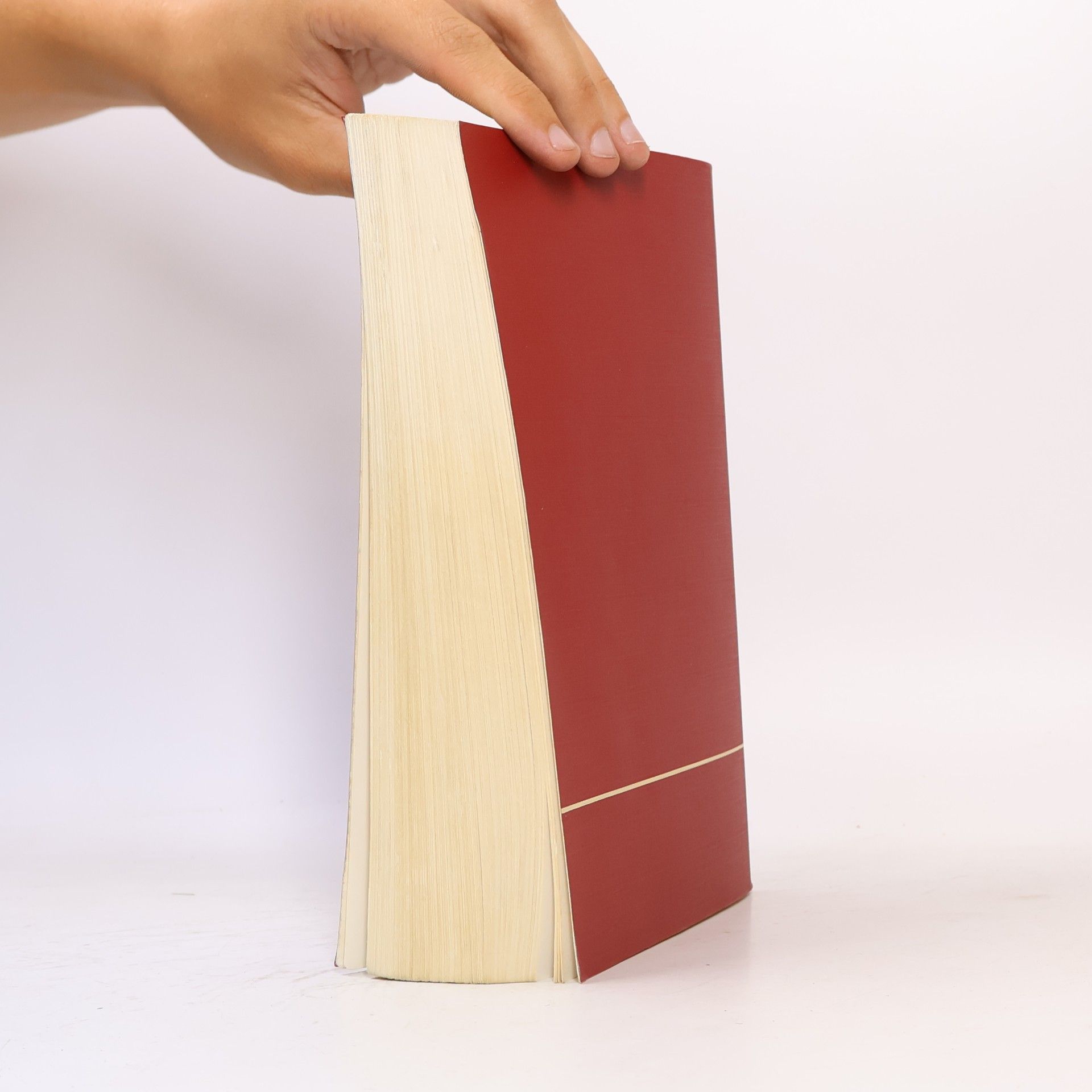 Helmut Koziol Manzsche Kurzlehrbuch-Reihe - 1: Grundriss des bürgerlichen Rechts