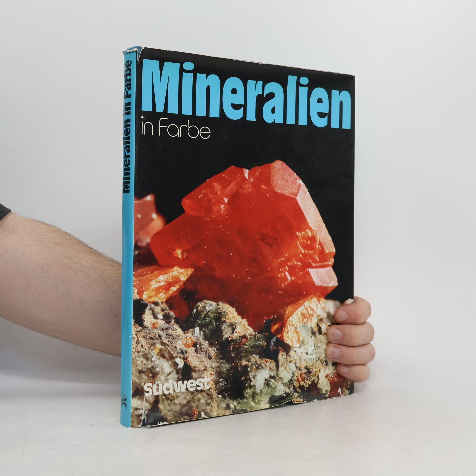 Vincenzo De Michele Mineralien in Farbe