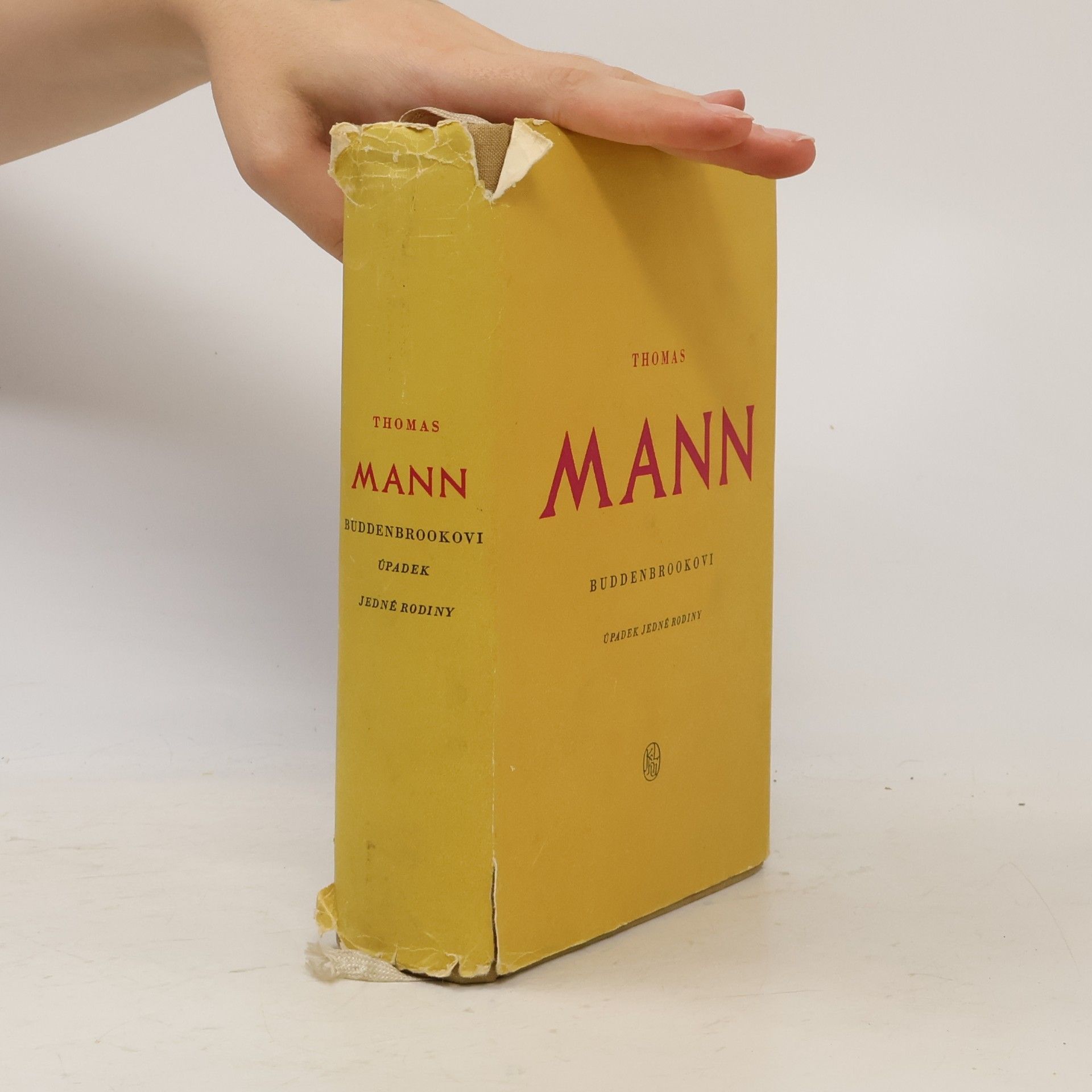 Thomas Mann Buddenbrookovi úpadek jedné rodiny