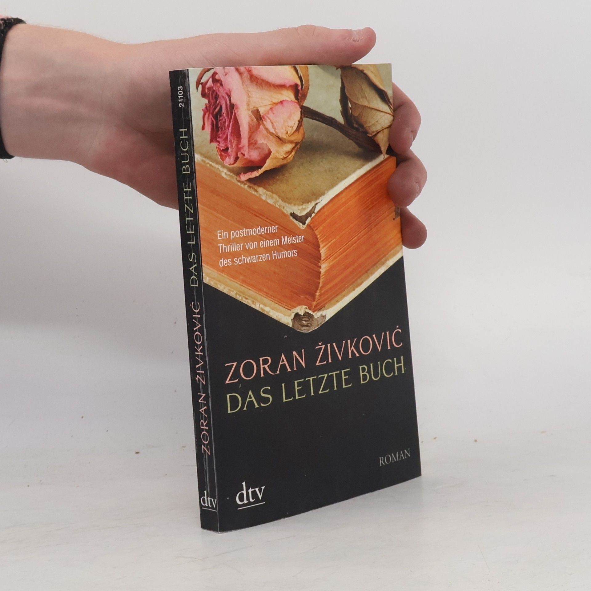Zoran Živković Das letzte Buch