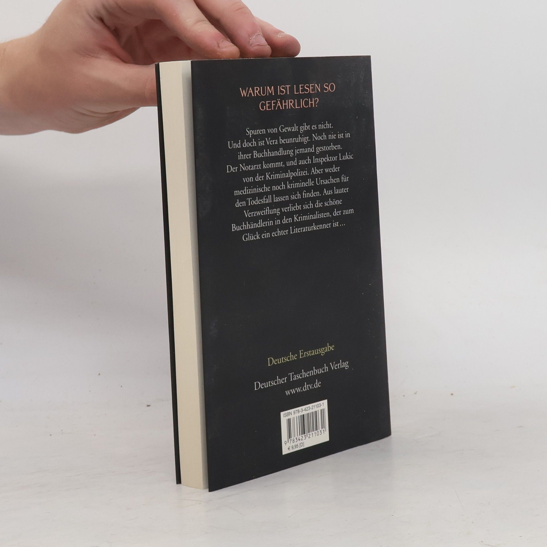Zoran Živković Das letzte Buch