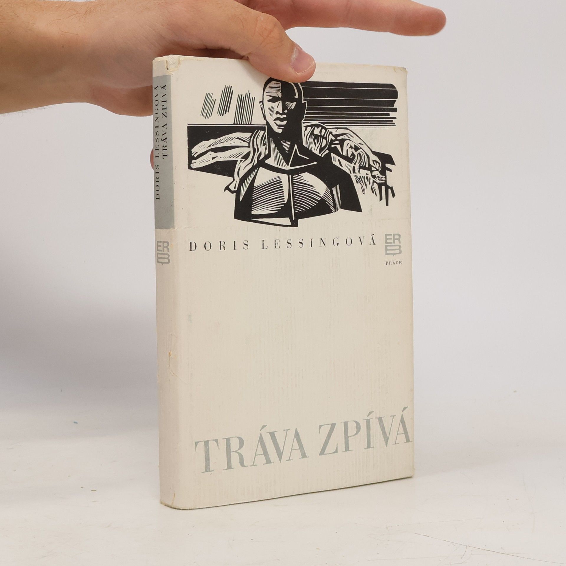 Doris Lessing Tráva zpívá
