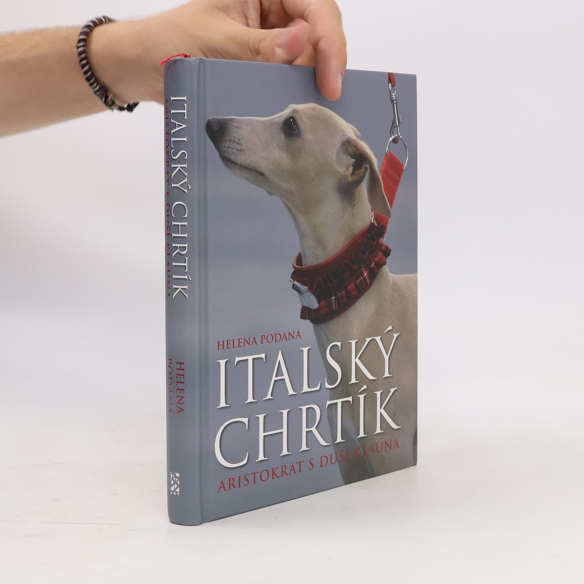 Helena Podaná Italský chrtík - Aristokrat s duší klauna