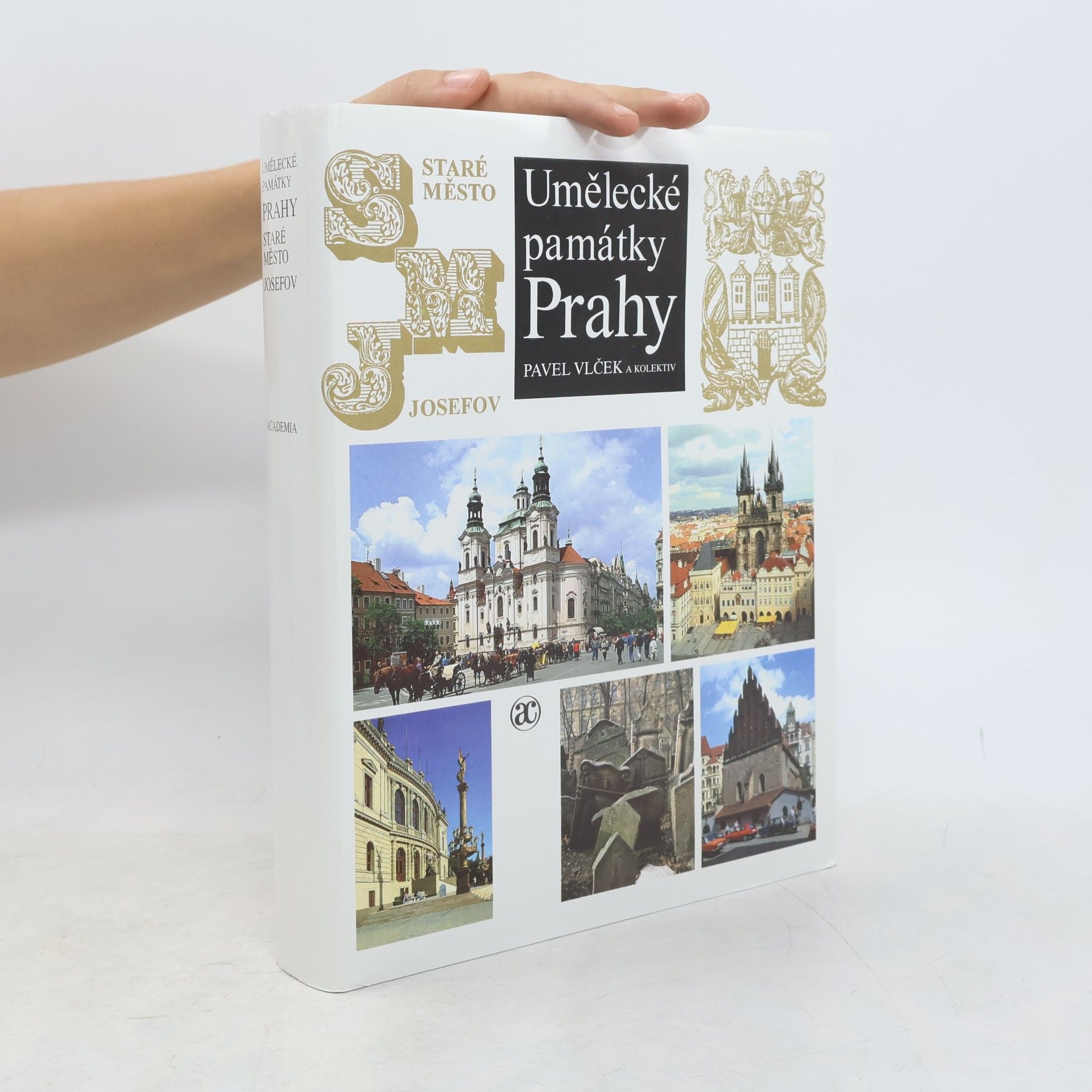Pavel Vlček Umělecké památky Prahy. Staré město - Josefov.