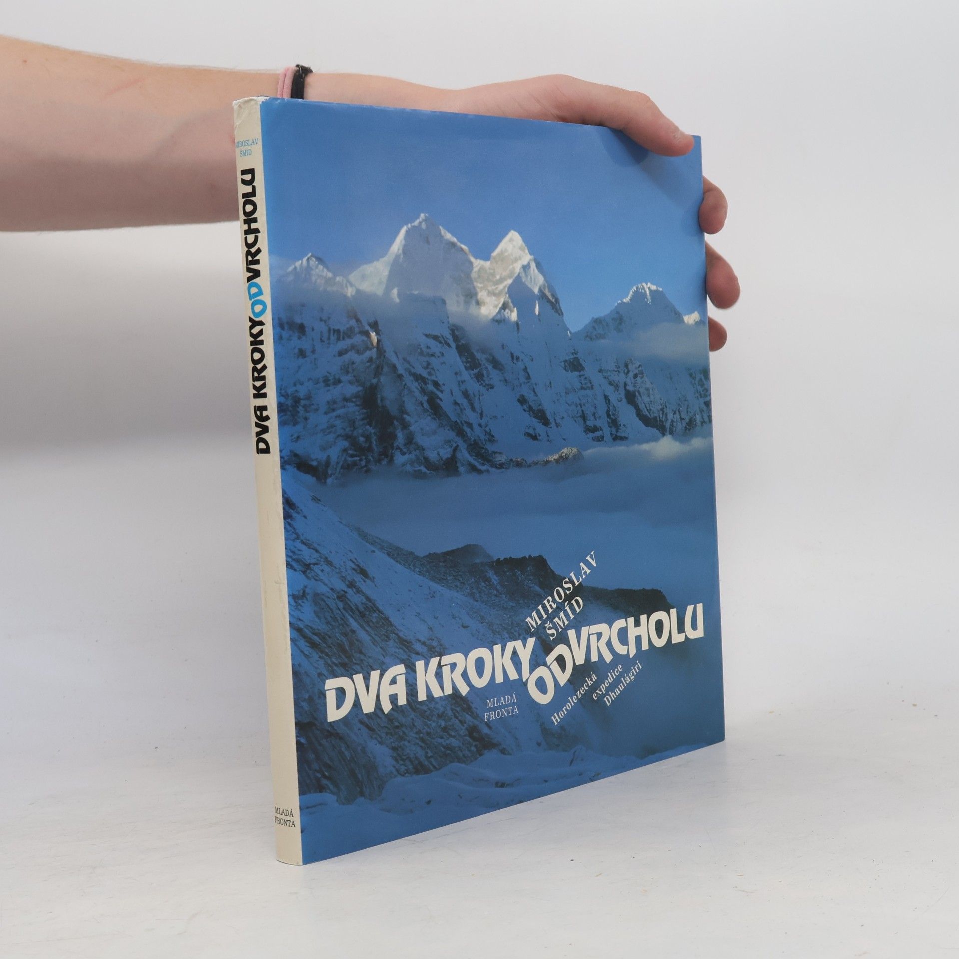 Miroslav Šmíd Dva kroky od vrcholu