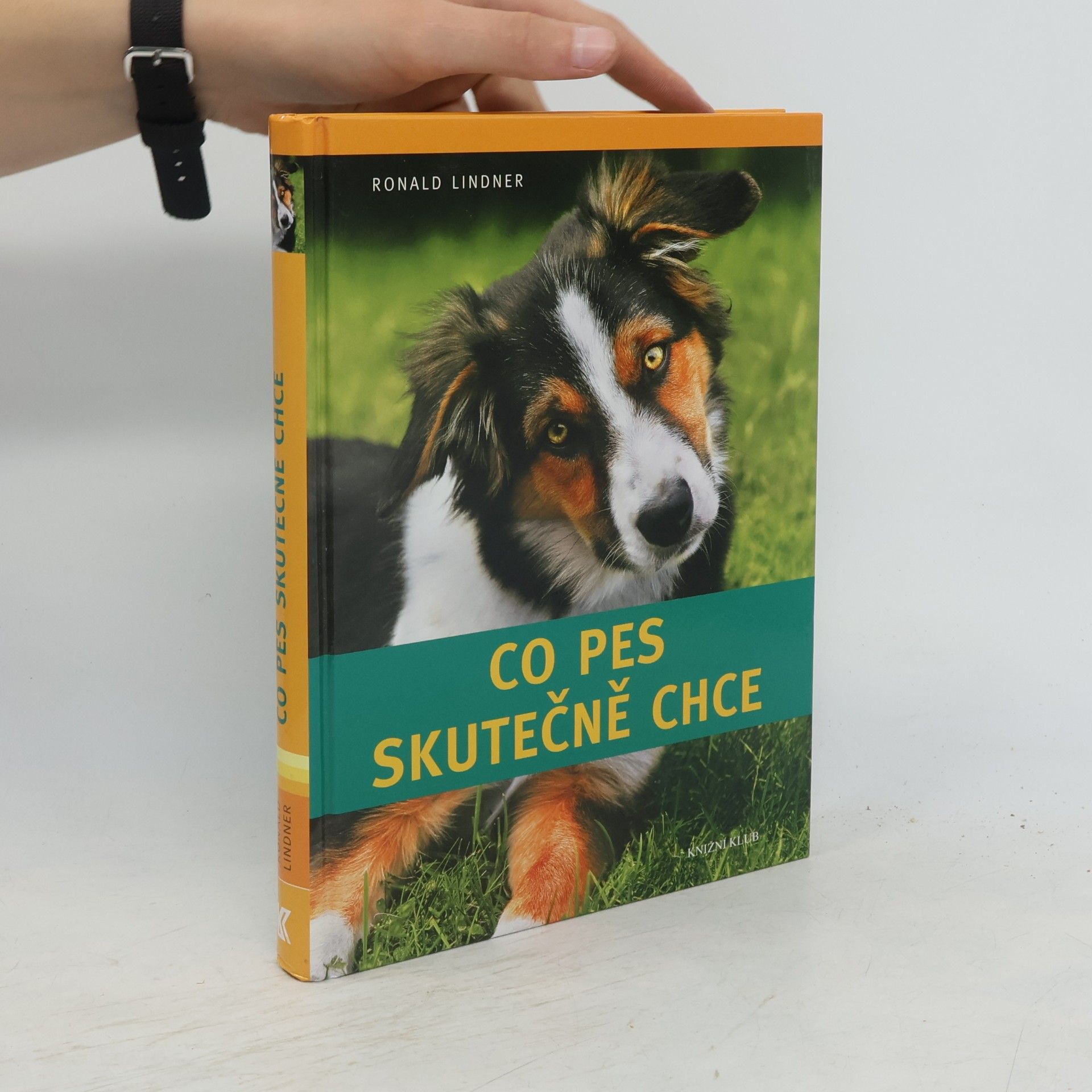 Ronald Lindner Co pes skutečně chce