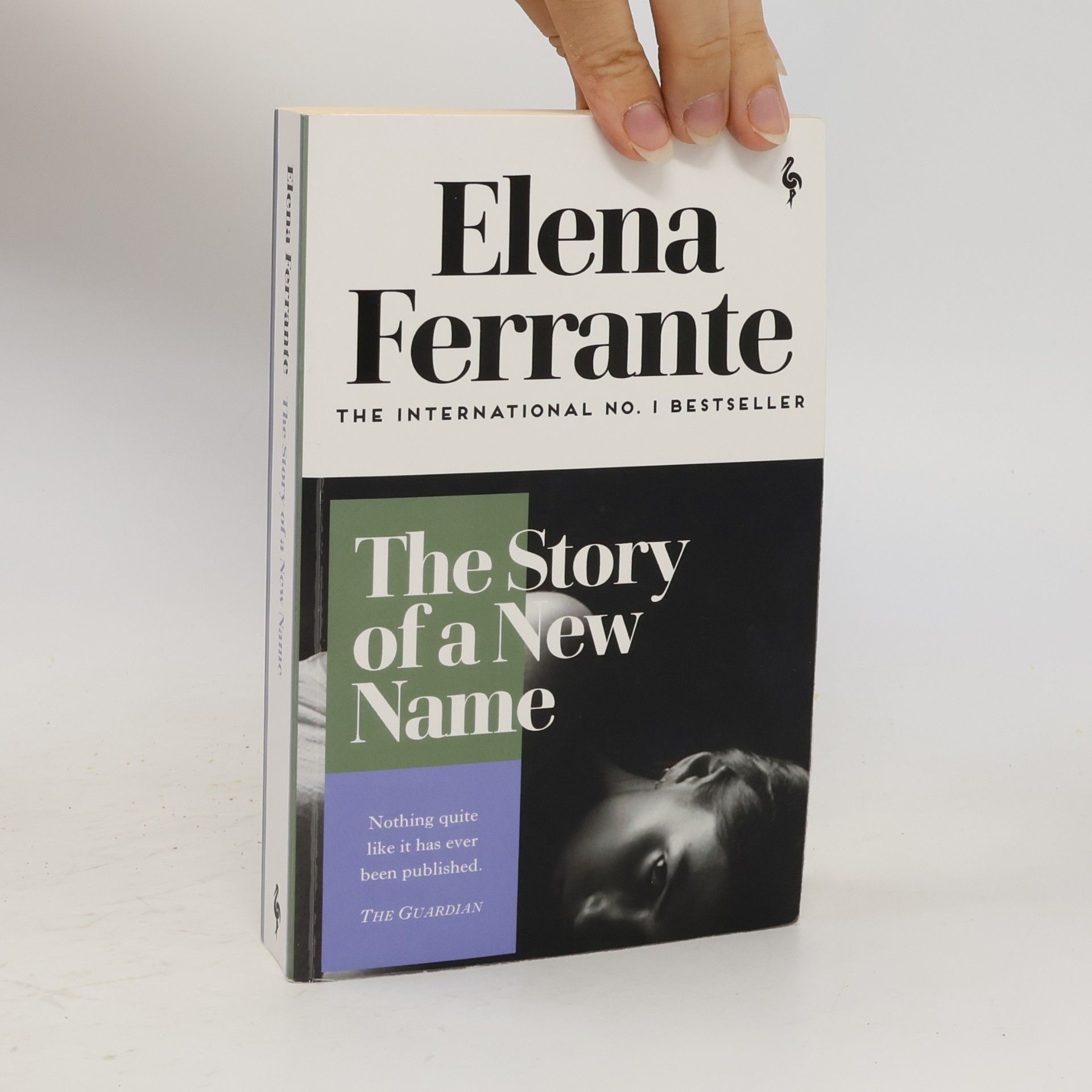 Elena Ferrante The Story of a New Name