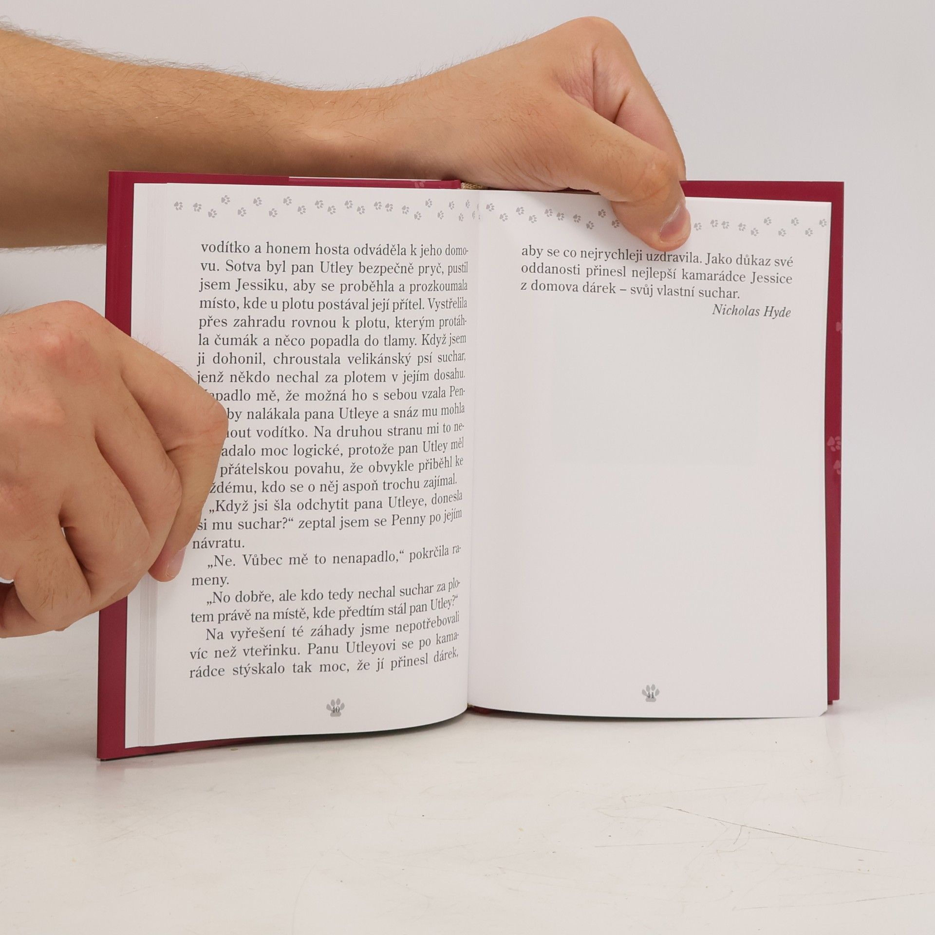 Jack Canfield Slepičí minipolévka o psí duši