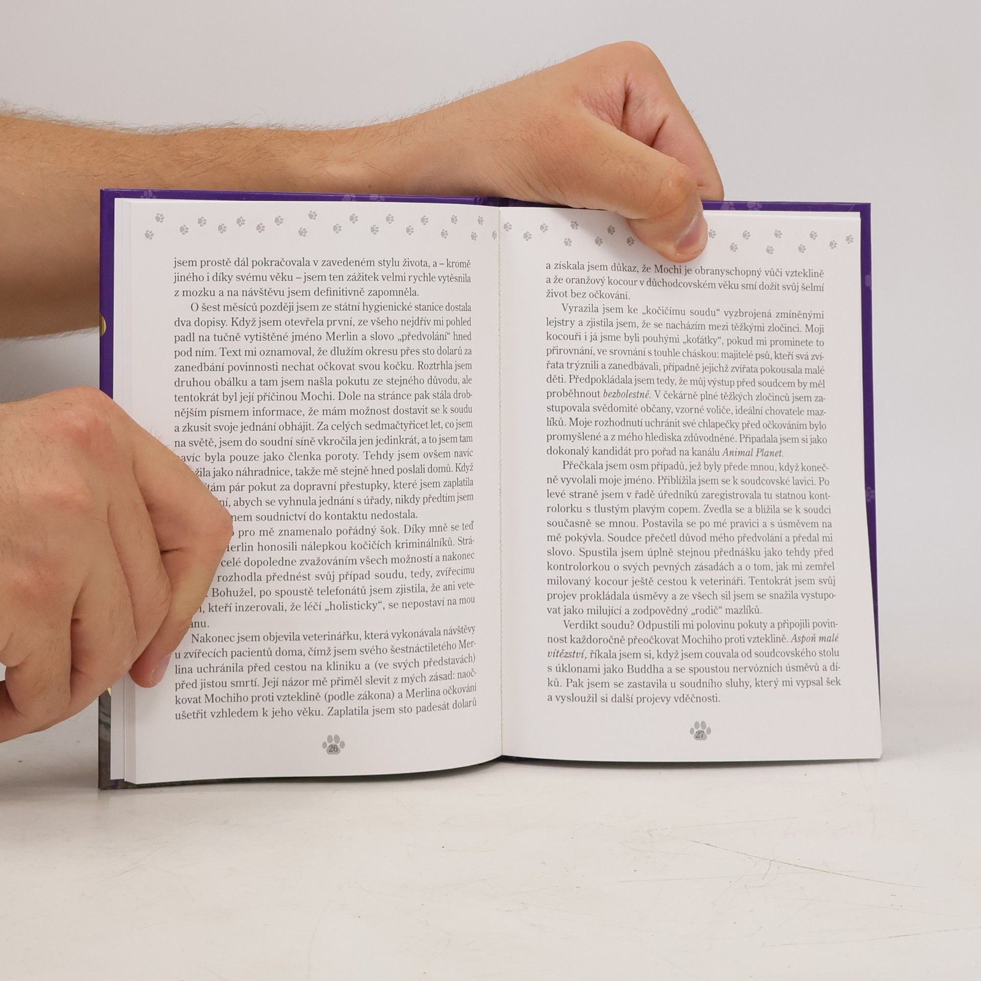 Jack Canfield Slepičí minipolévka o kočičí duši