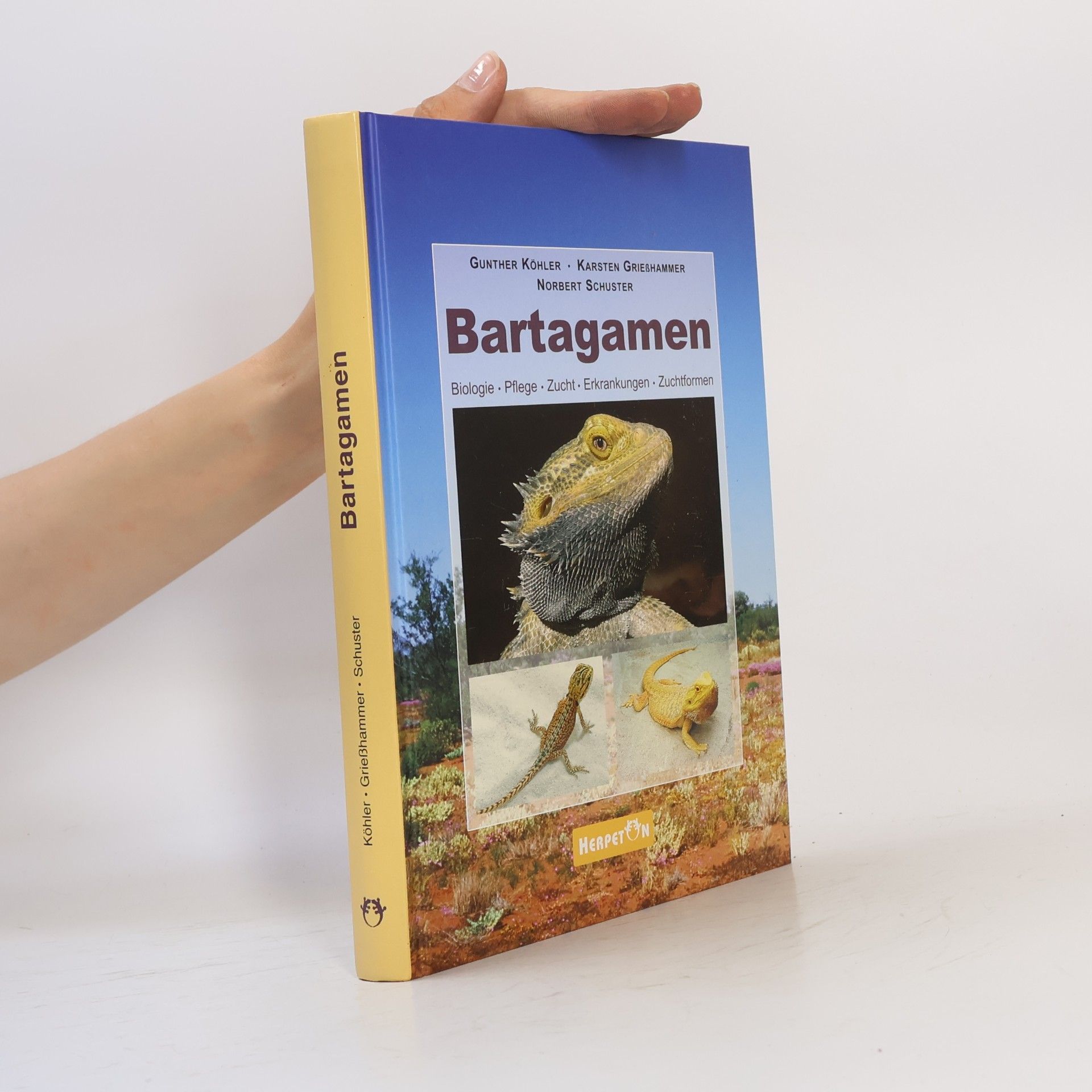 Bartagamen