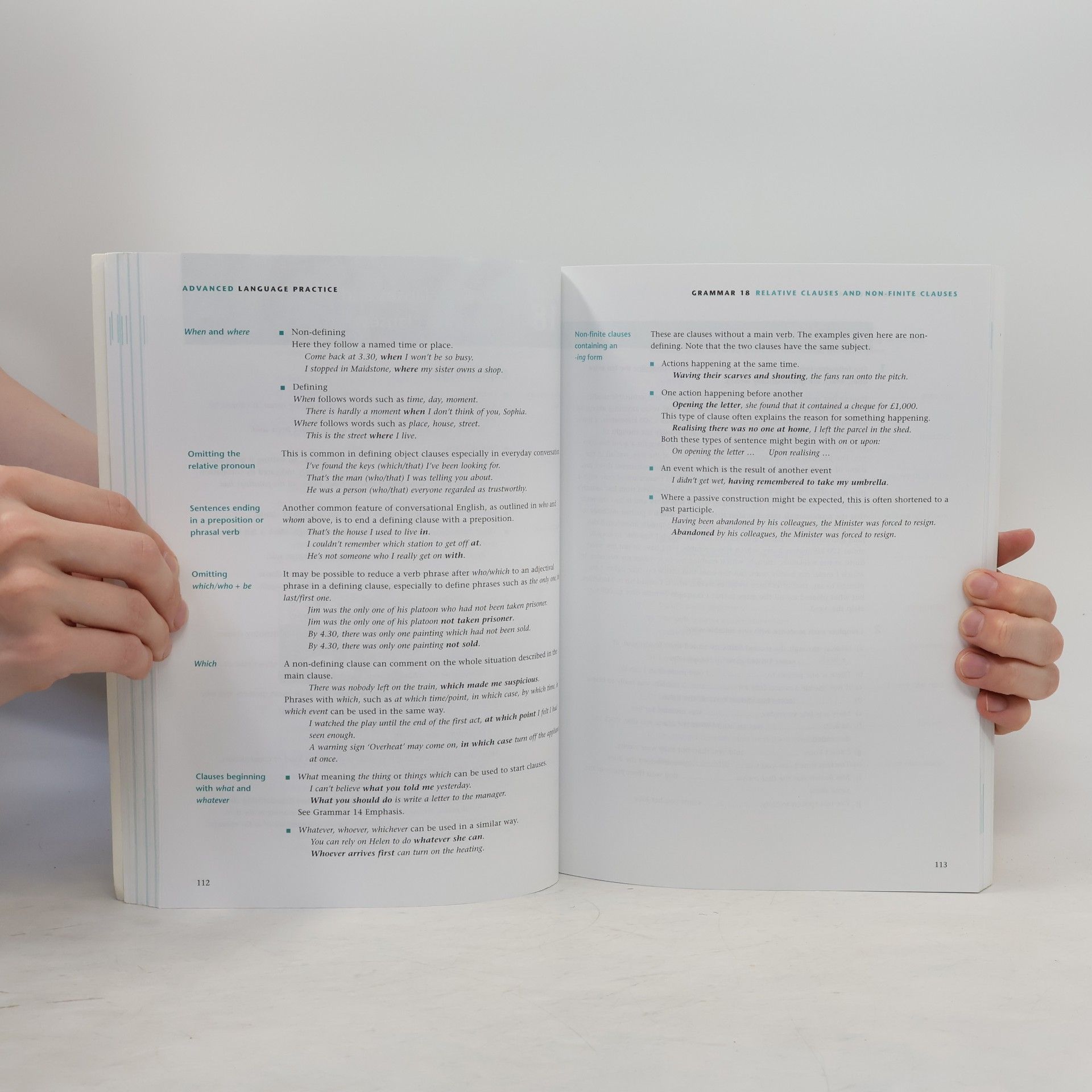 Michael Vince Advanced Language Practice