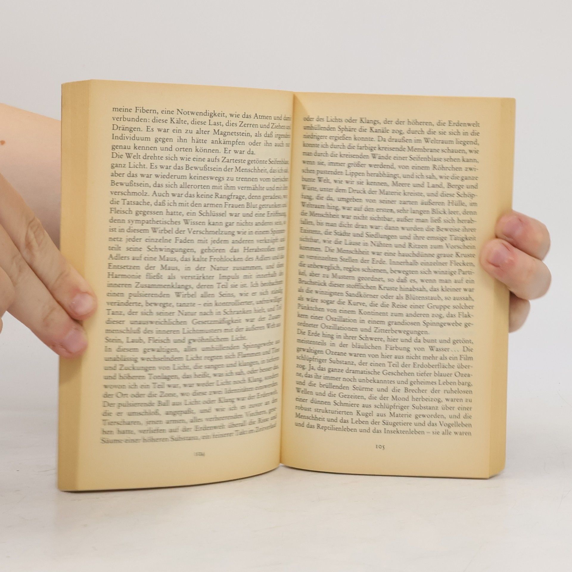 Doris Lessing Anweisung für einen Abstieg zur Hölle